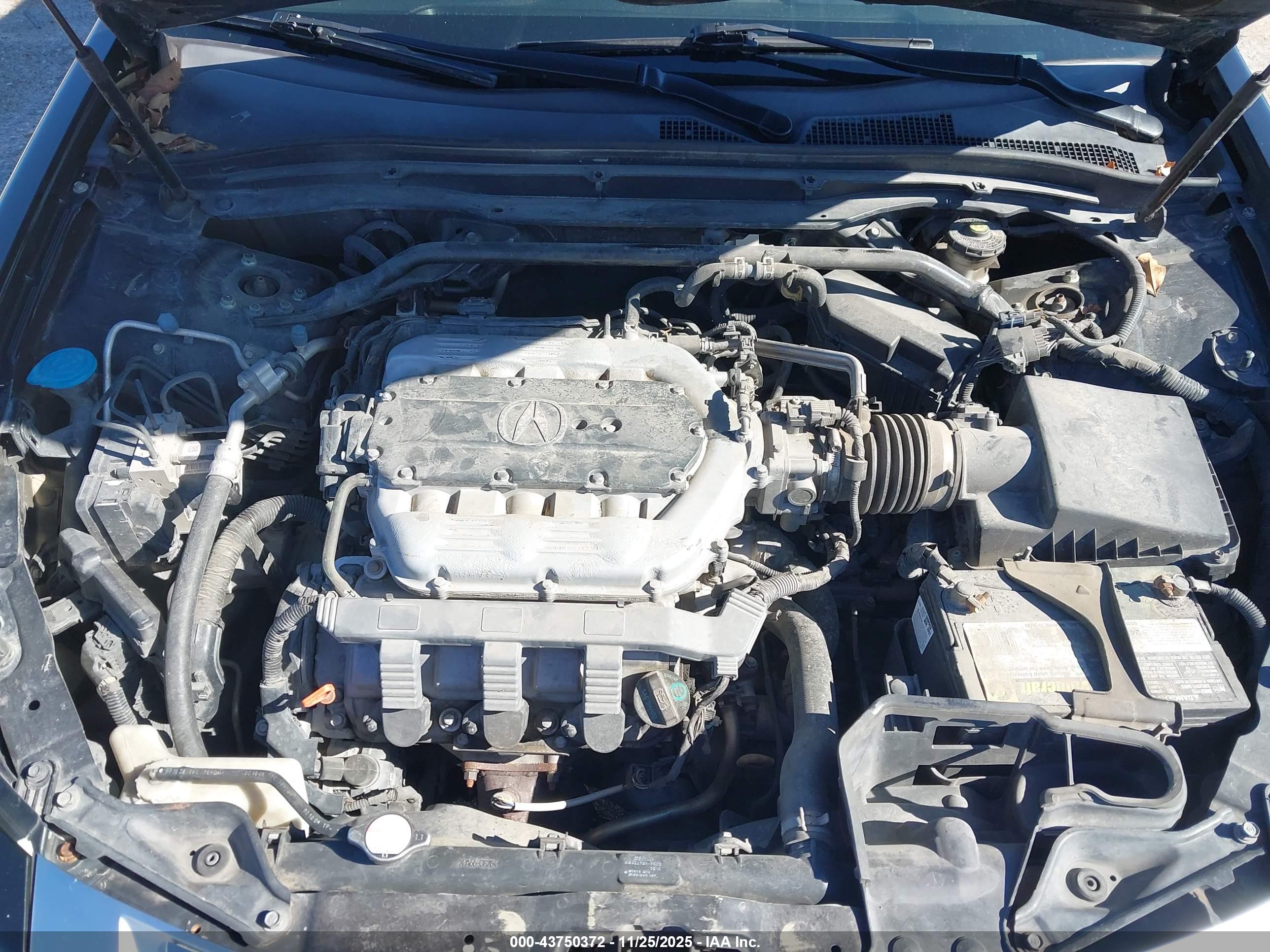 ACURA TL image 10