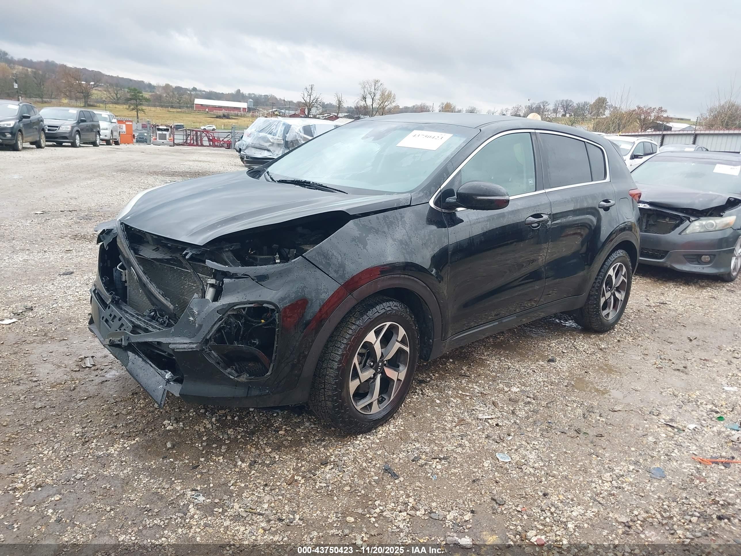 KIA SPORTAGE image 2