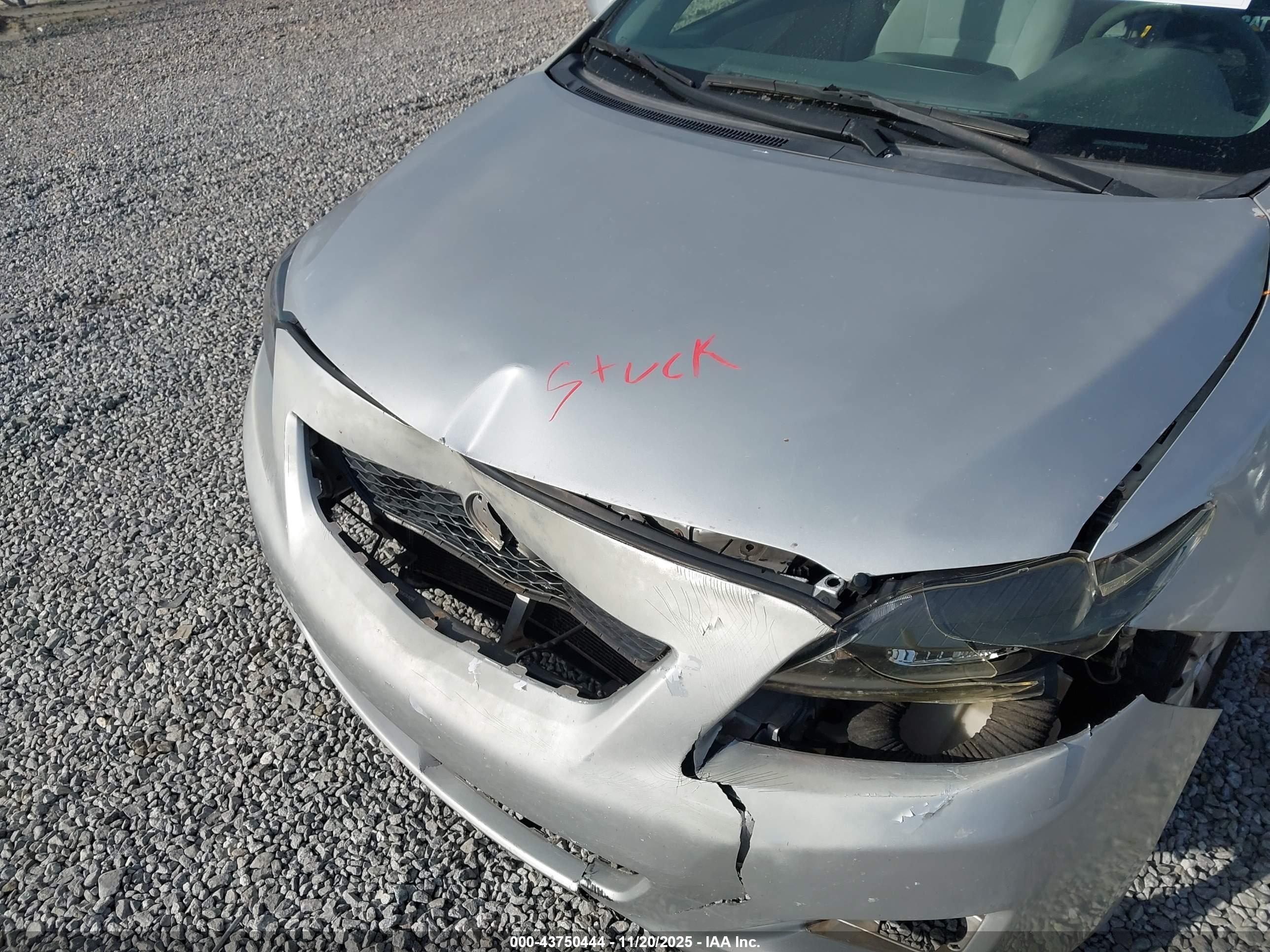 TOYOTA COROLLA image 10