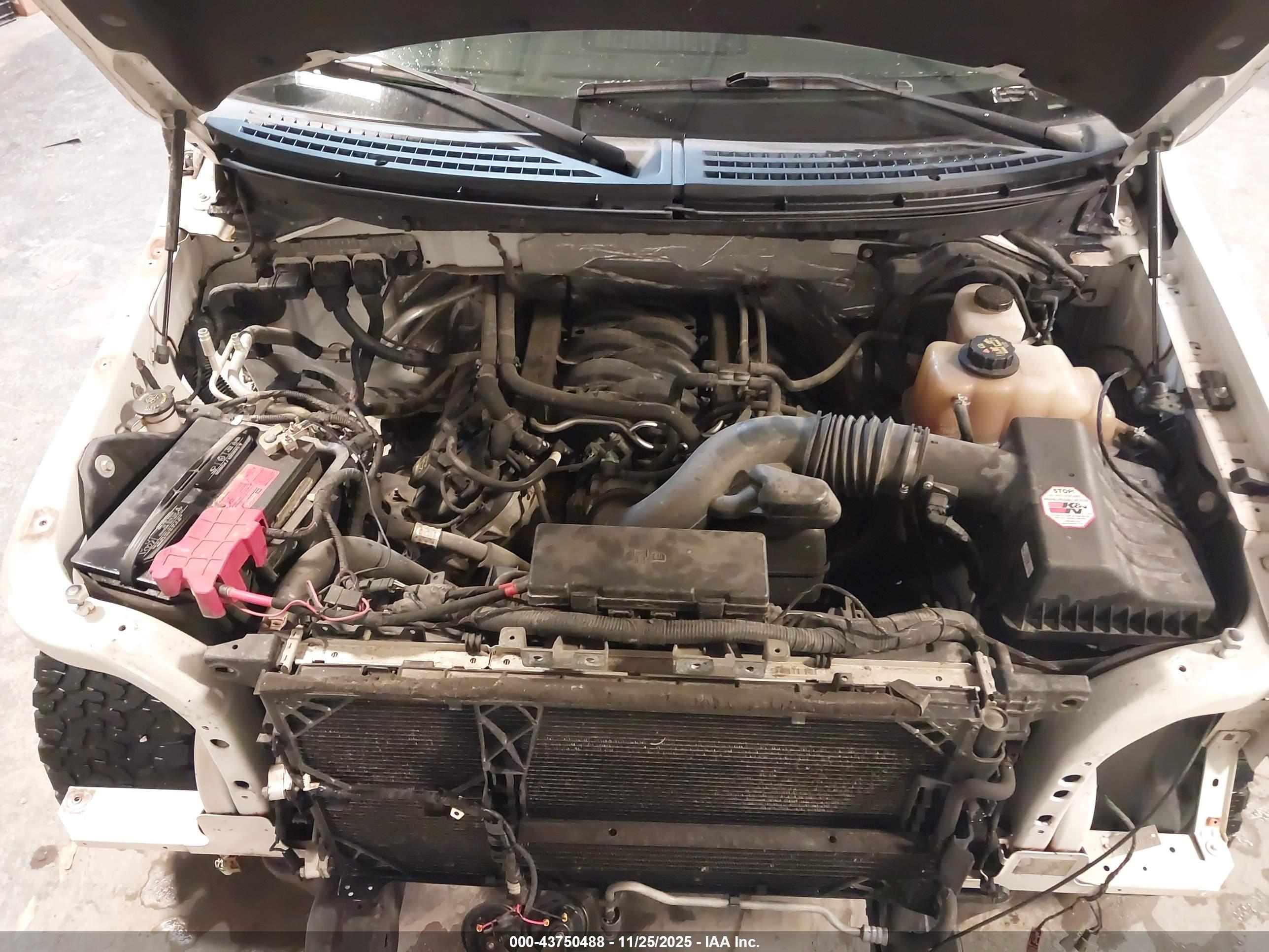 FORD F-150 image 10