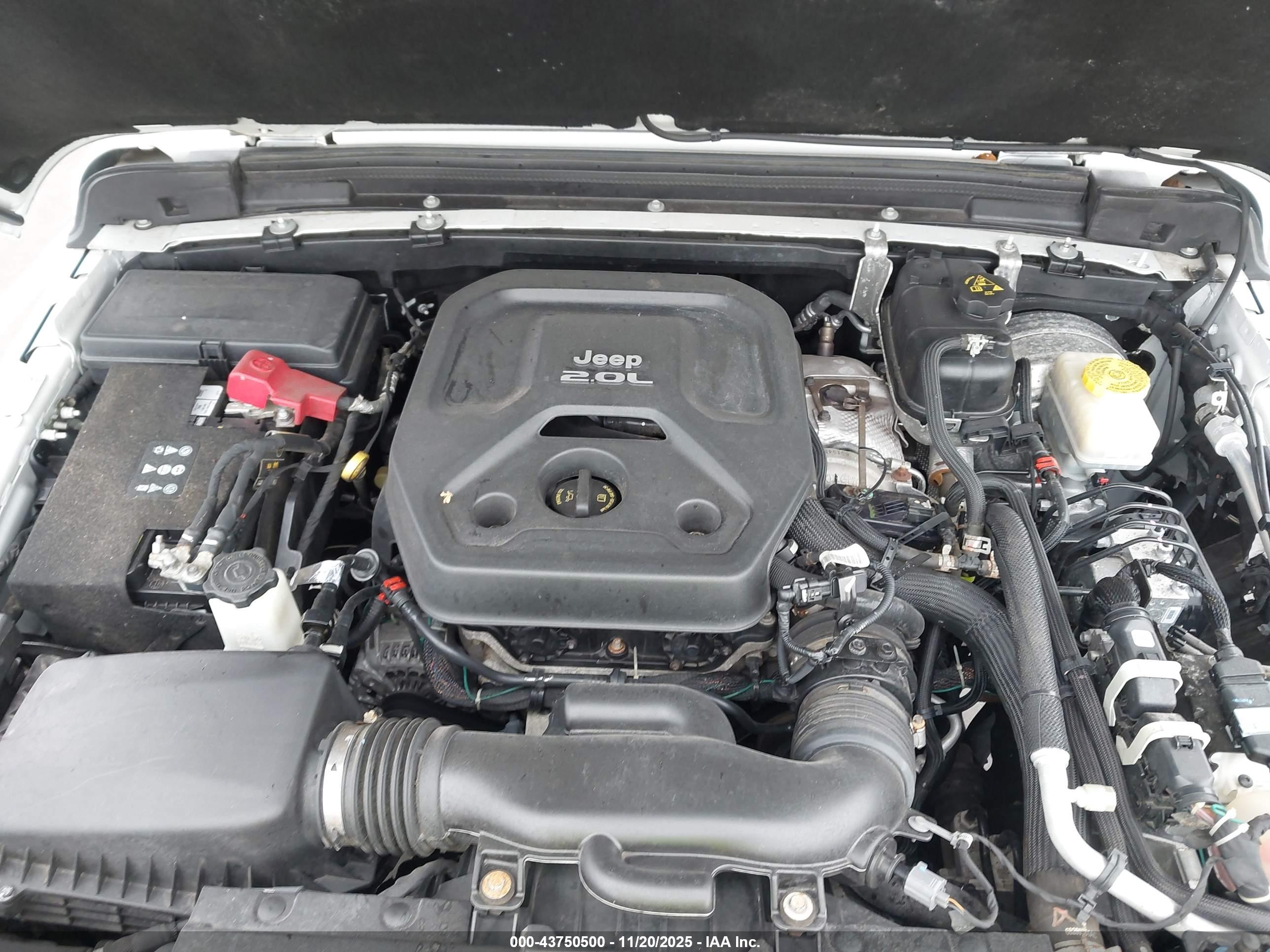 JEEP WRANGLER image 10