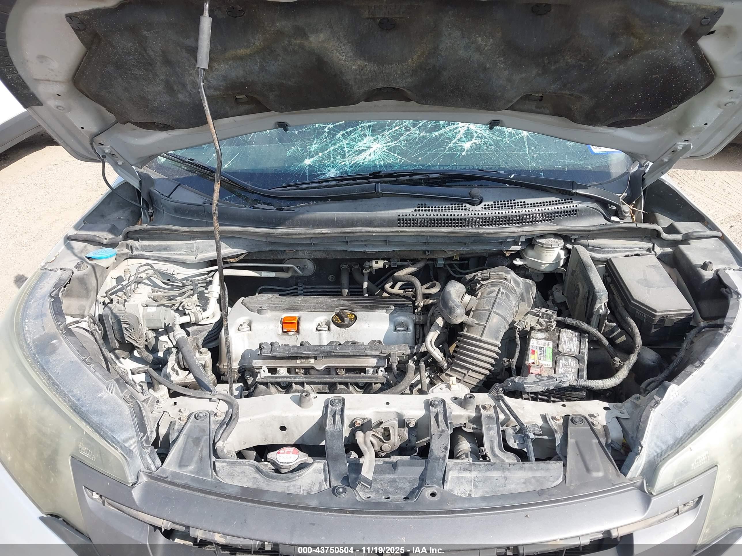 HONDA CR-V image 10