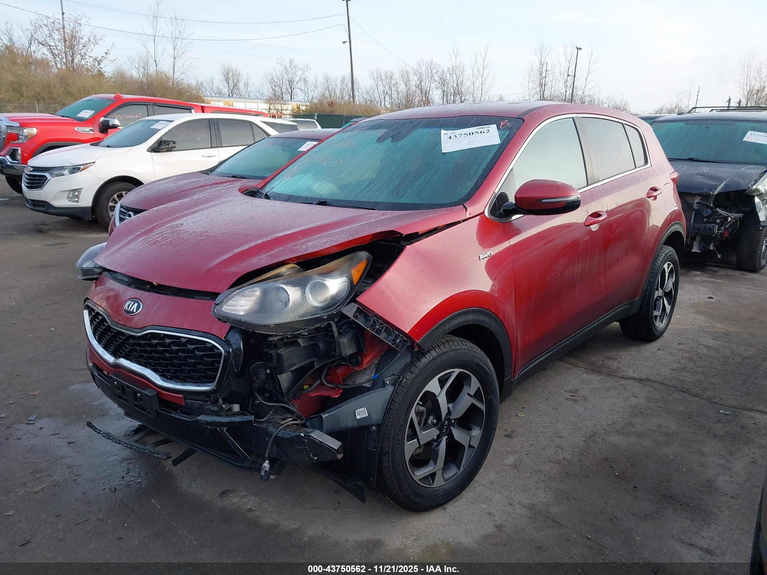 KIA SPORTAGE image 2