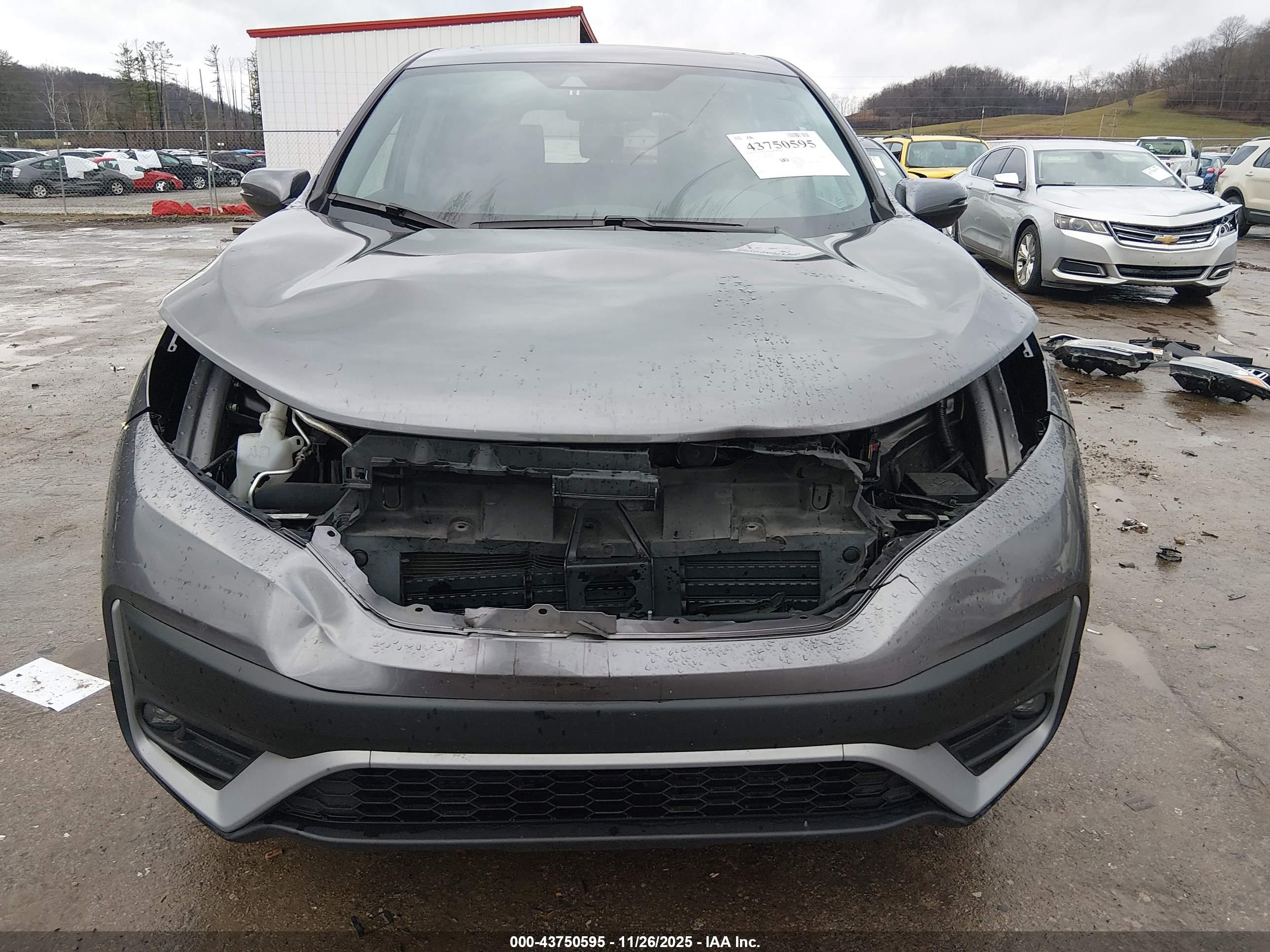 HONDA CR-V image 6