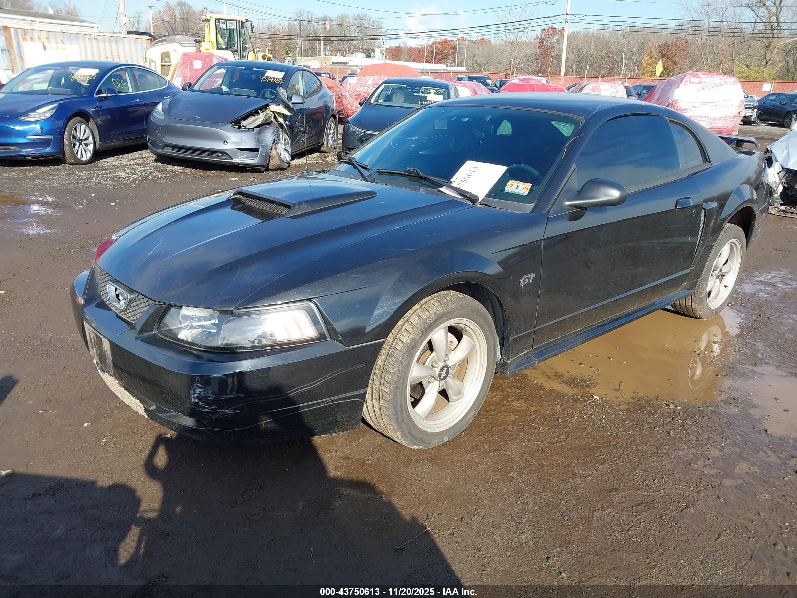 FORD MUSTANG image 2