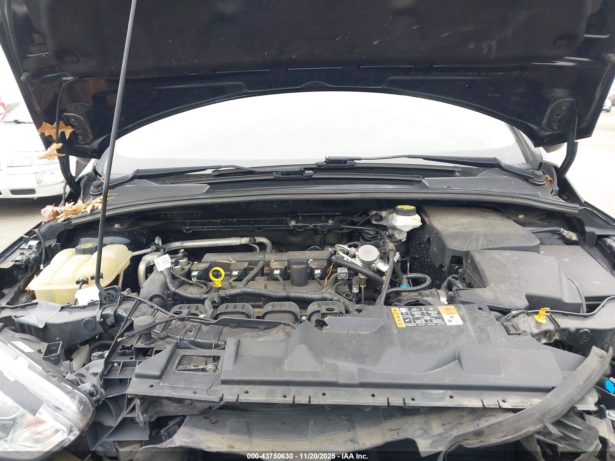 FORD FOCUS image 10