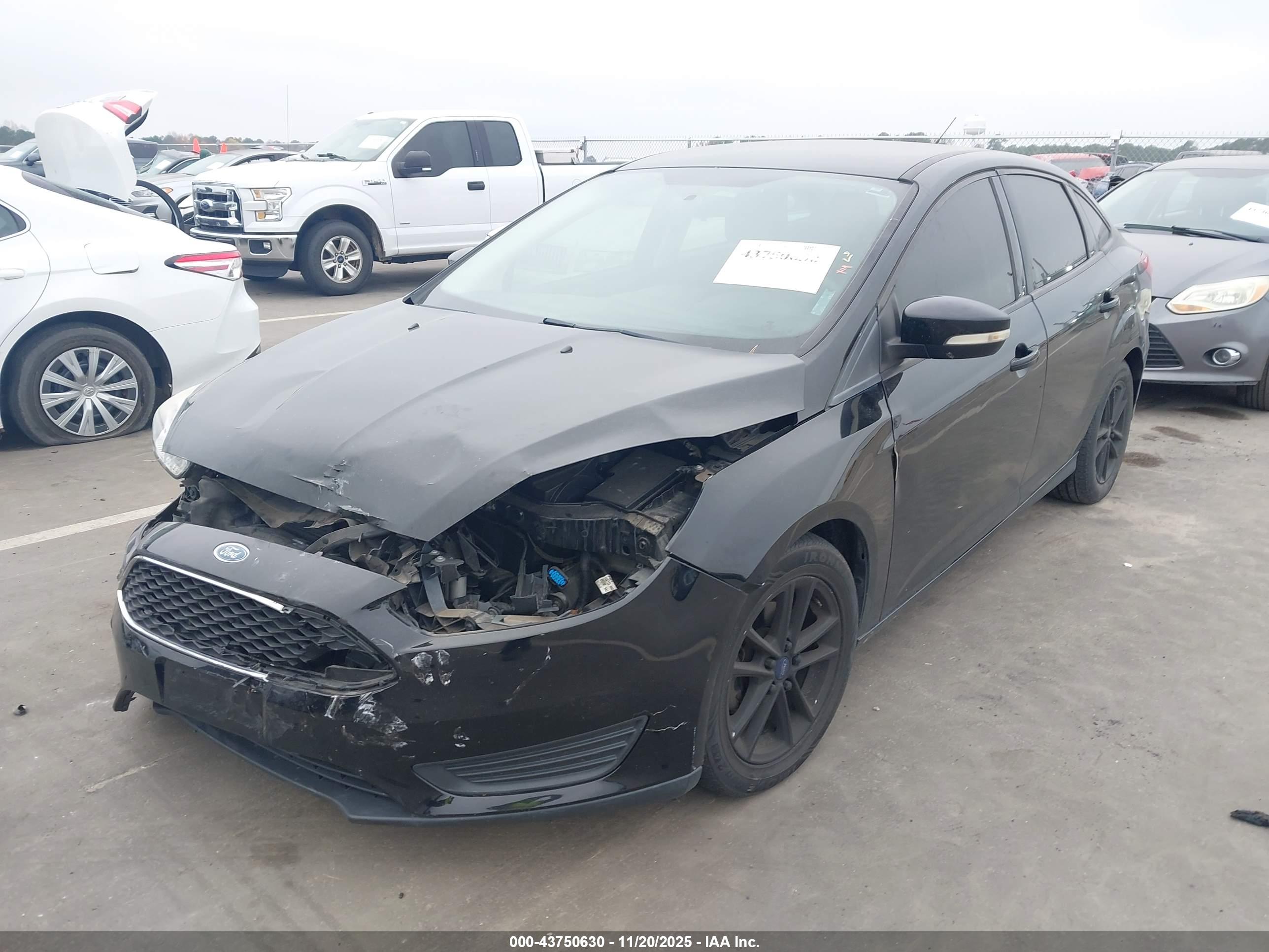 FORD FOCUS image 2