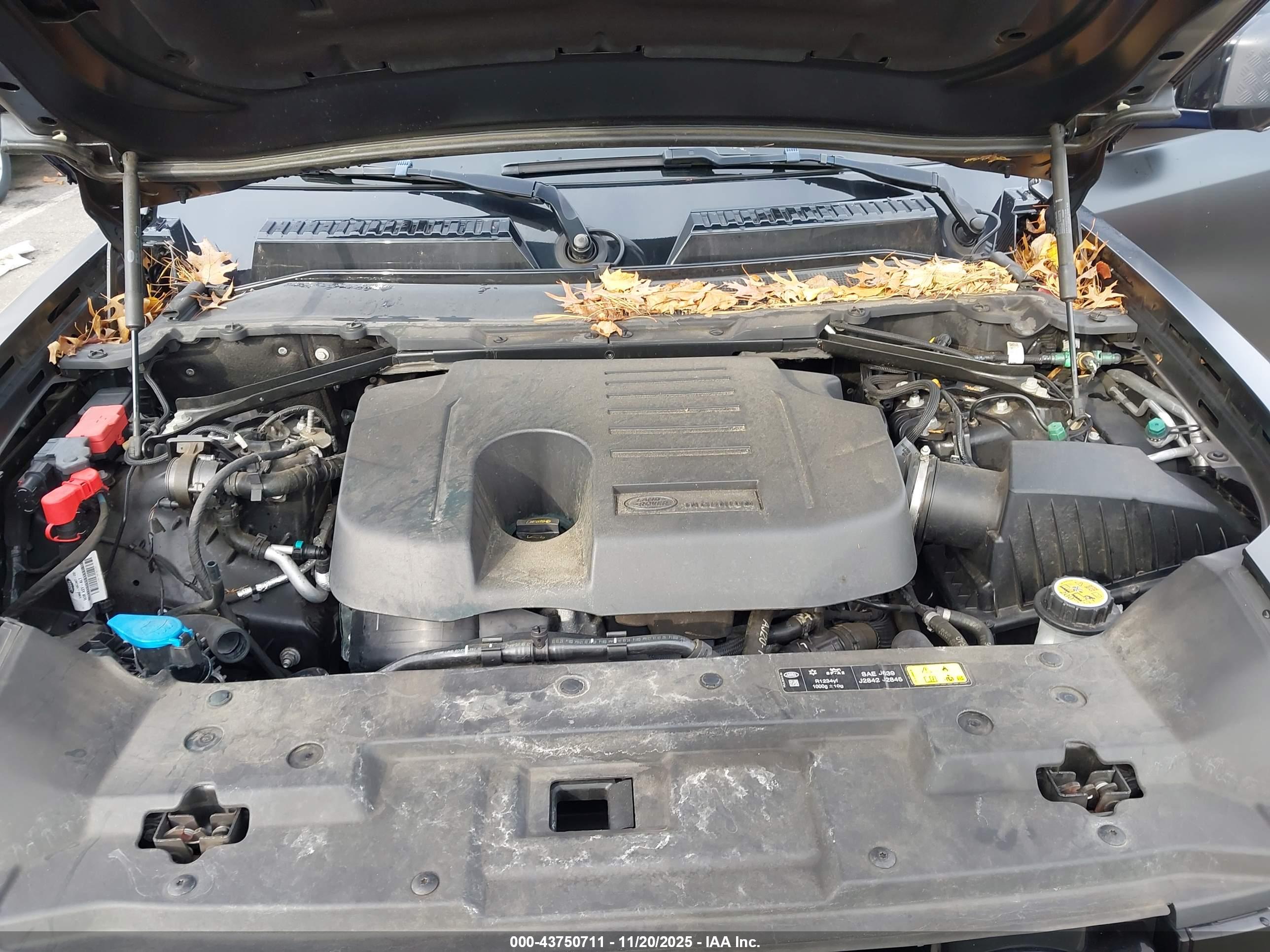 LAND ROVER image 10