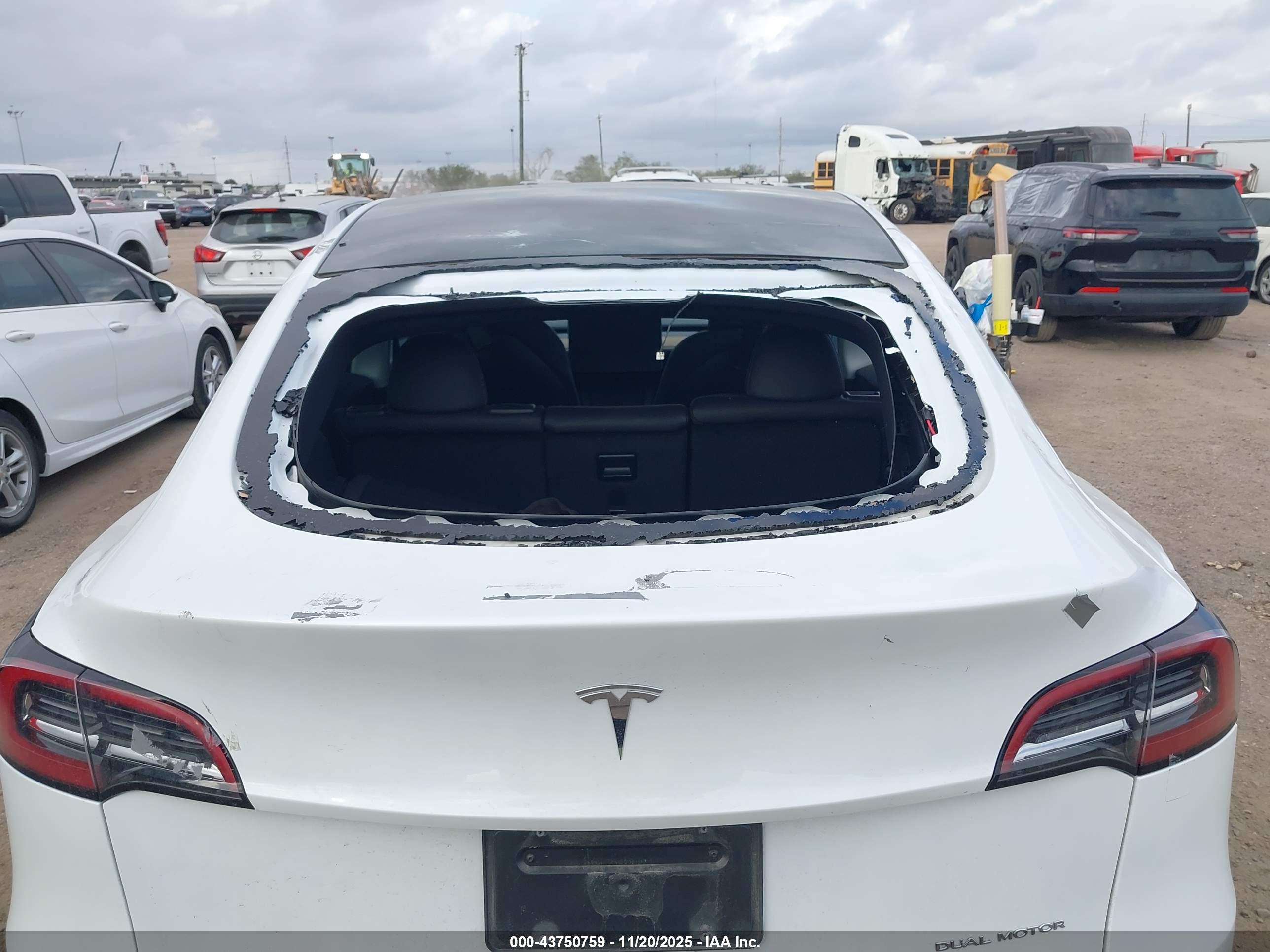 TESLA MODEL image 6