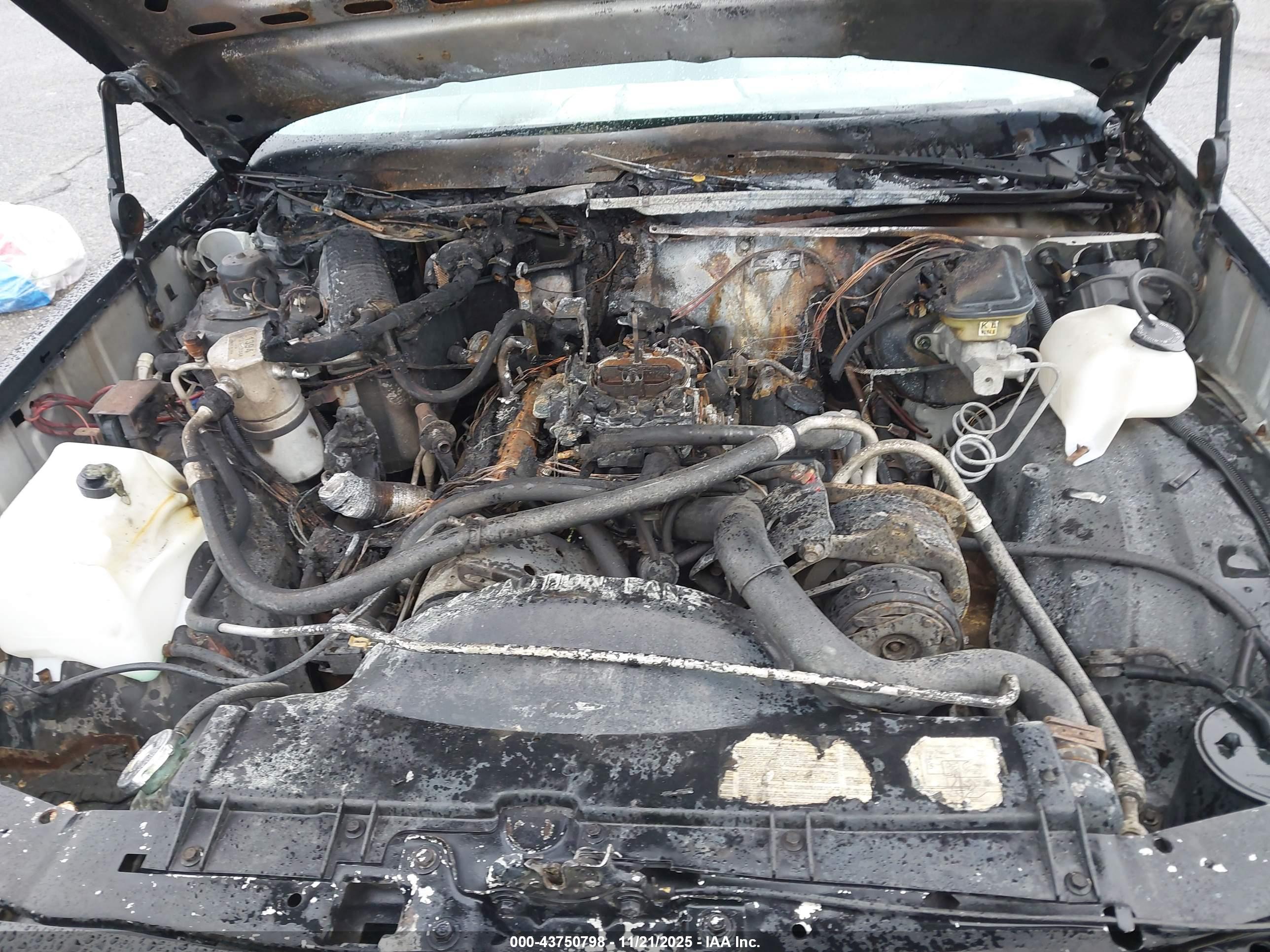 CHEVROLET EL image 6