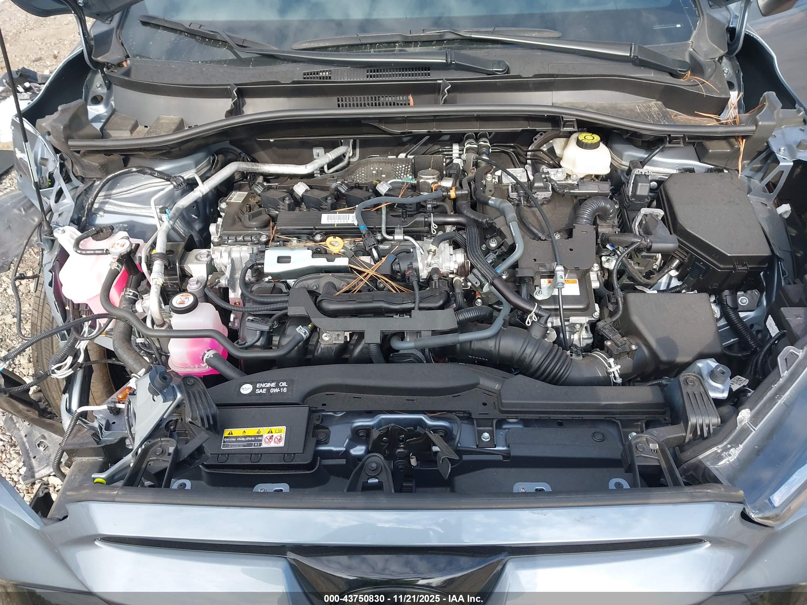 TOYOTA COROLLA image 10