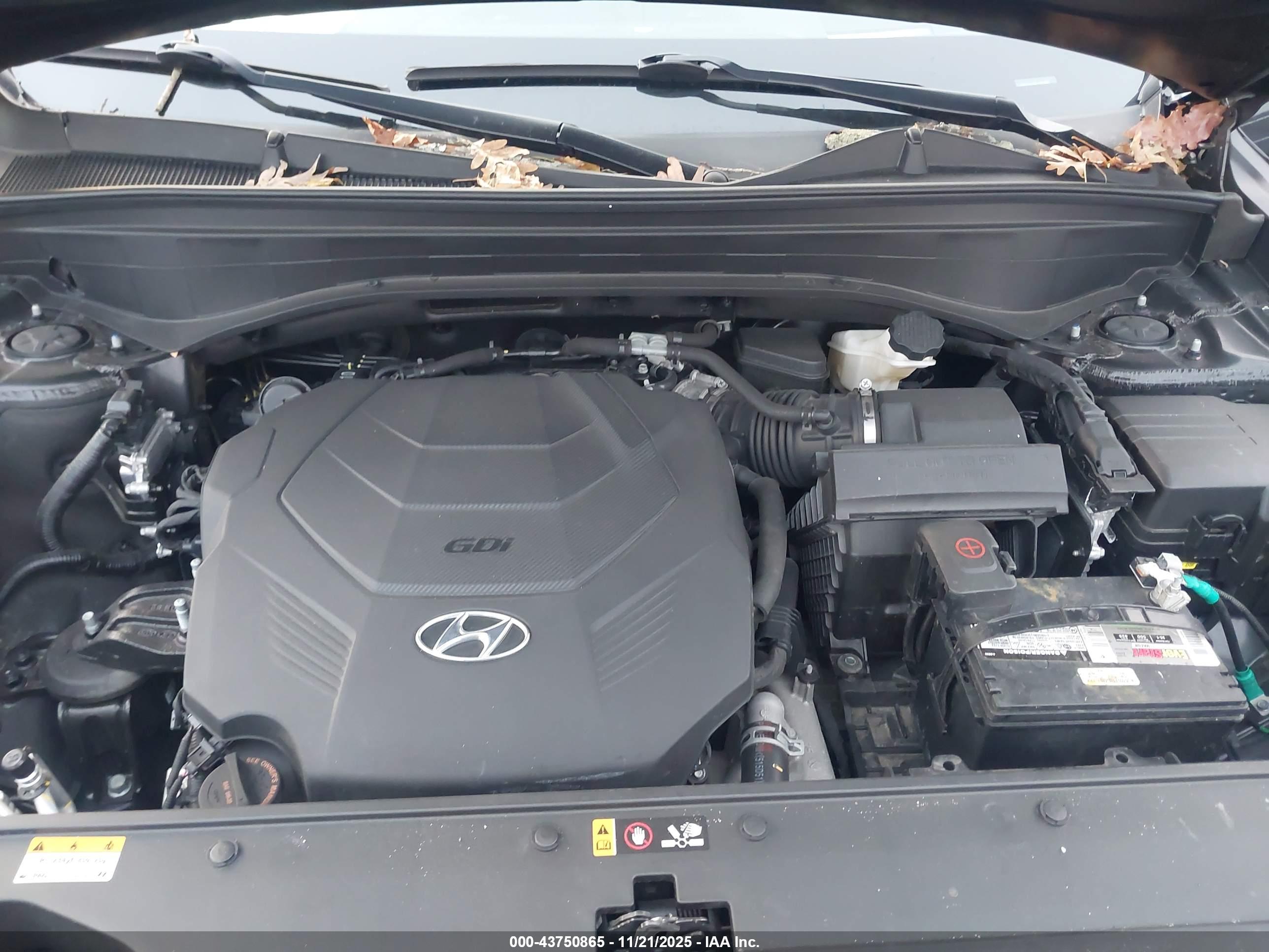 HYUNDAI PALISADE image 10