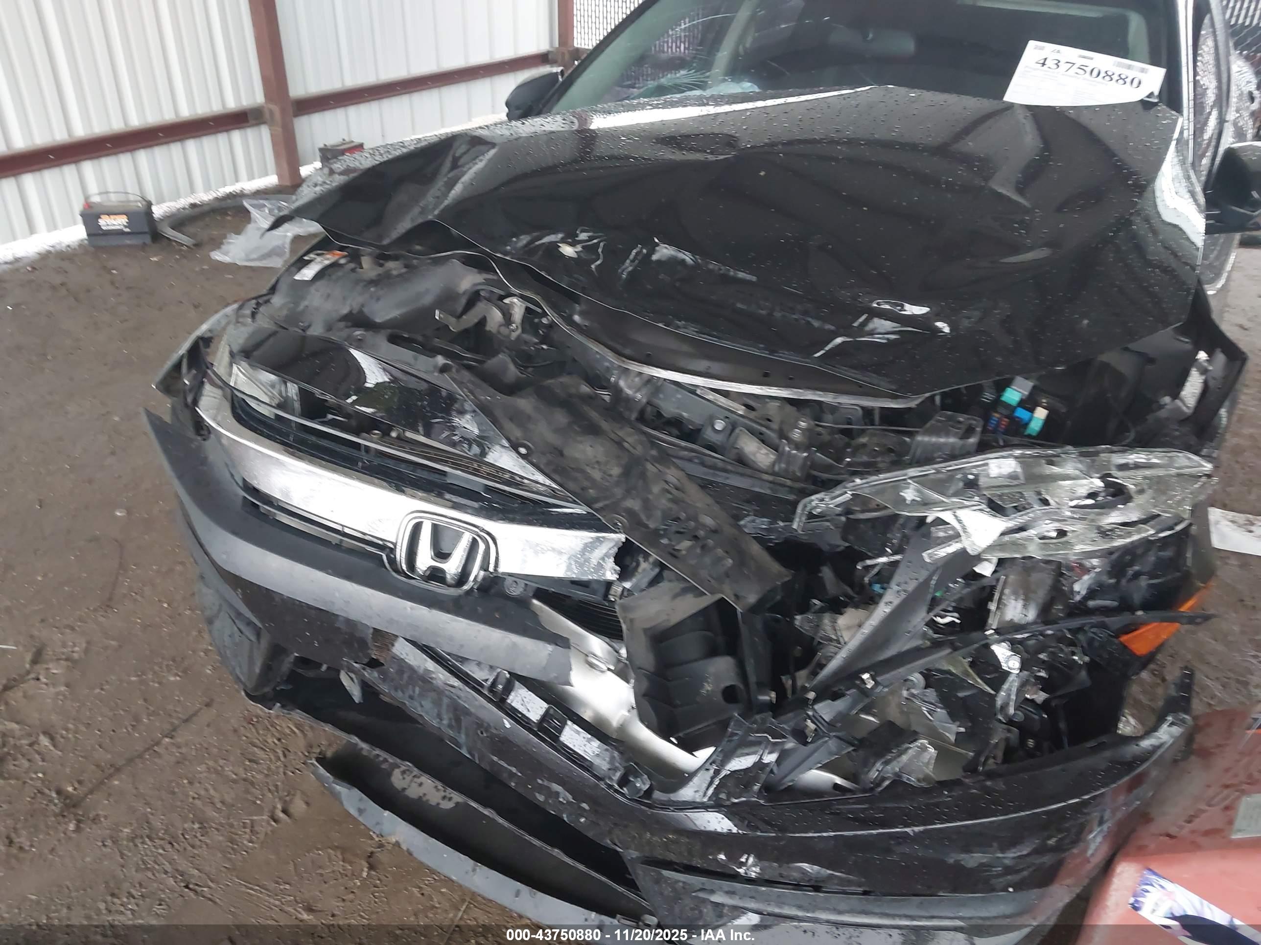 HONDA CIVIC image 6