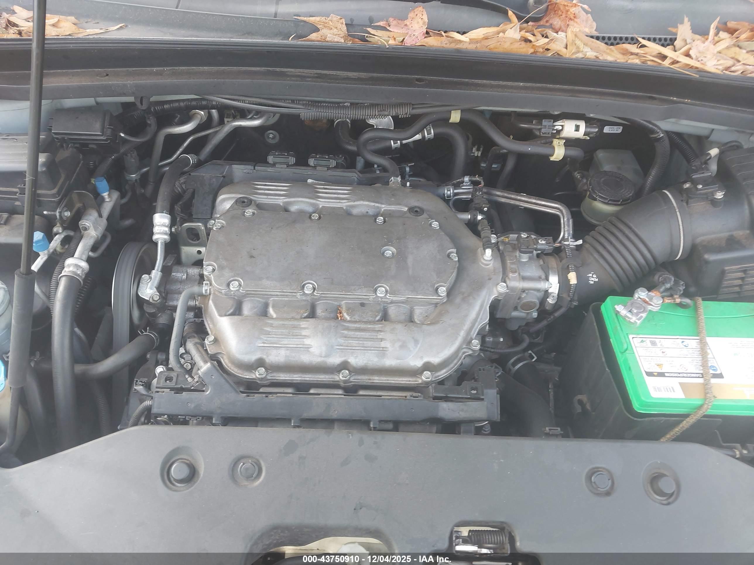 HONDA ODYSSEY image 10