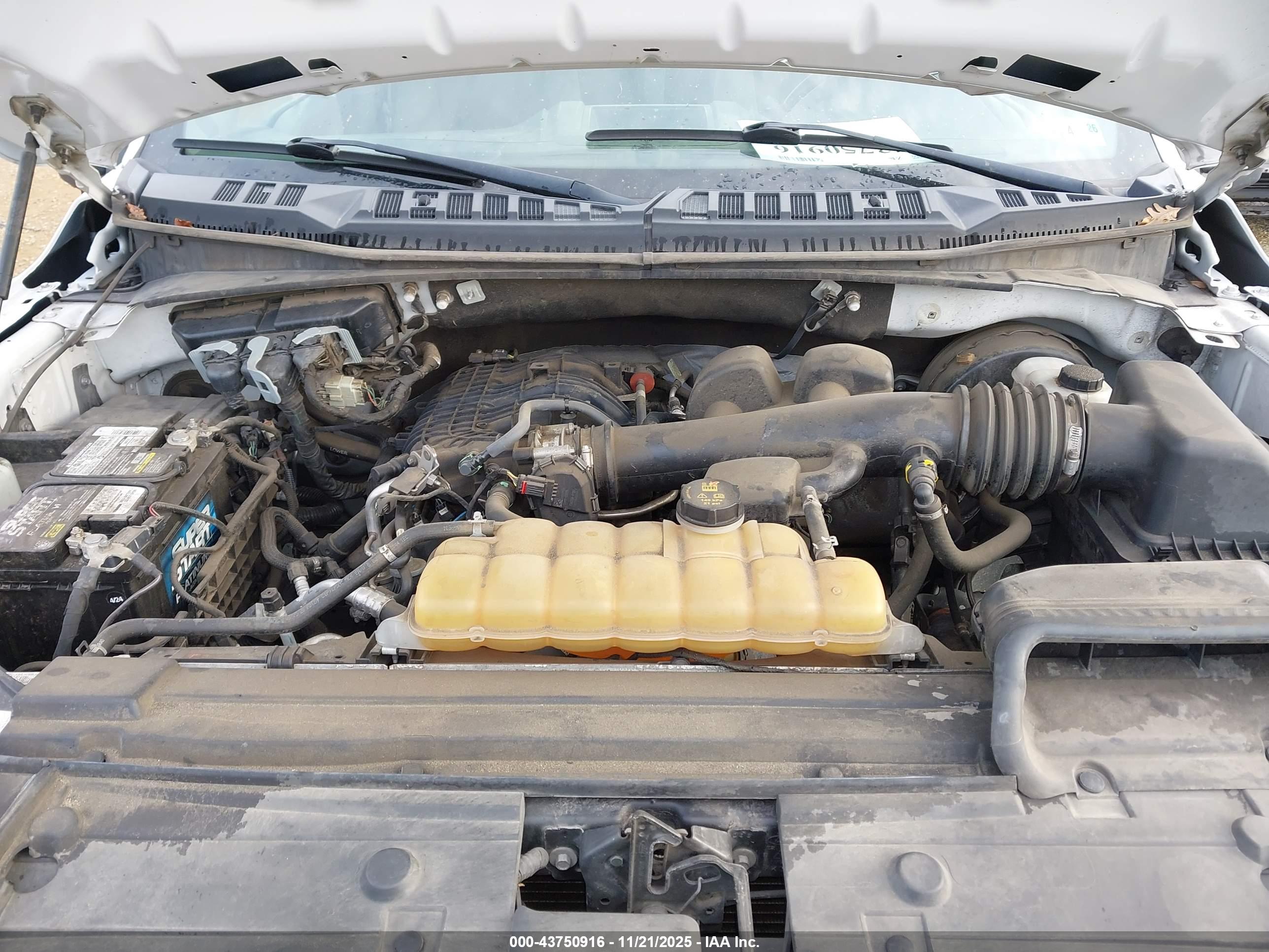 FORD F-150 image 10