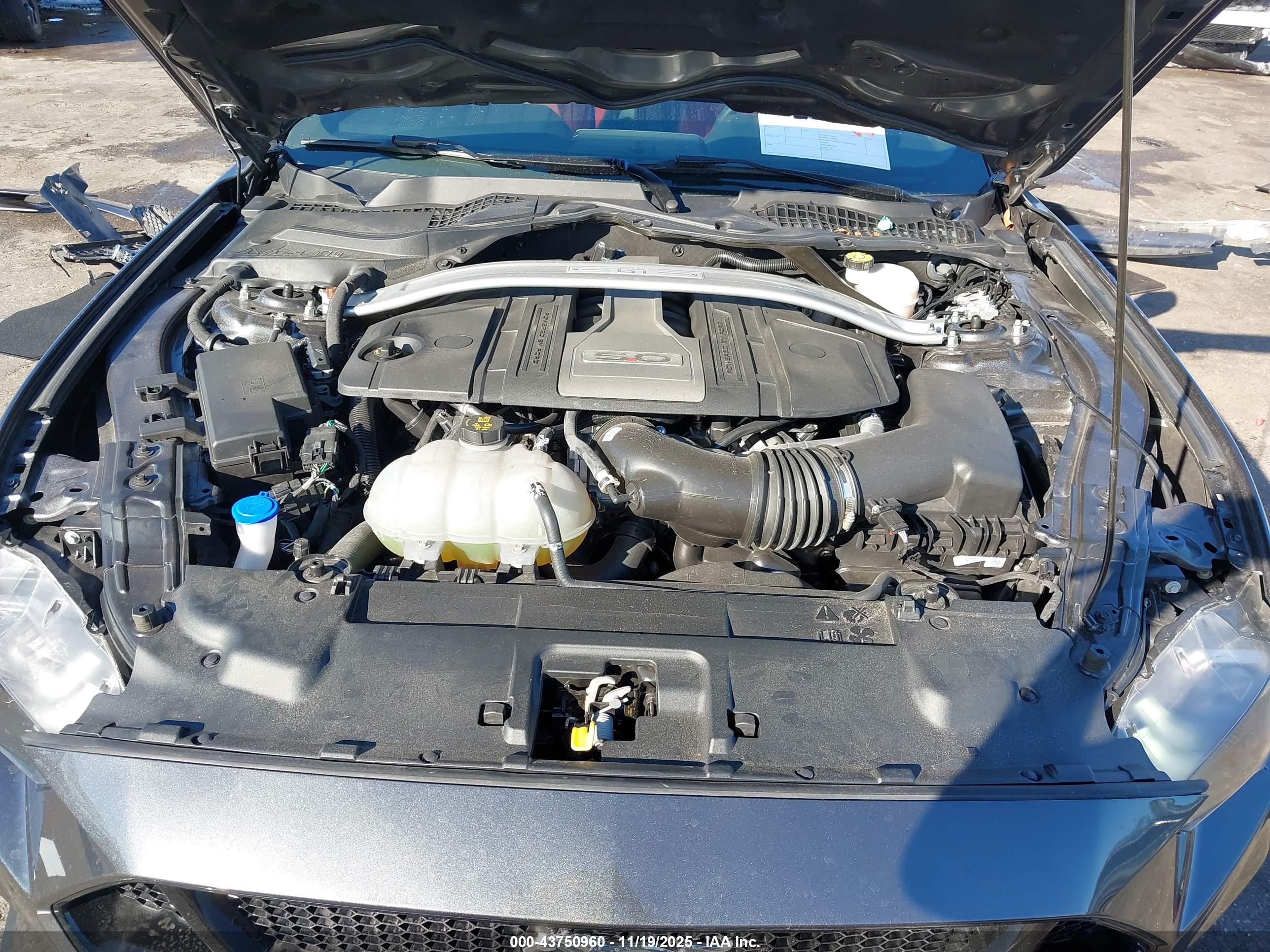 FORD MUSTANG image 10