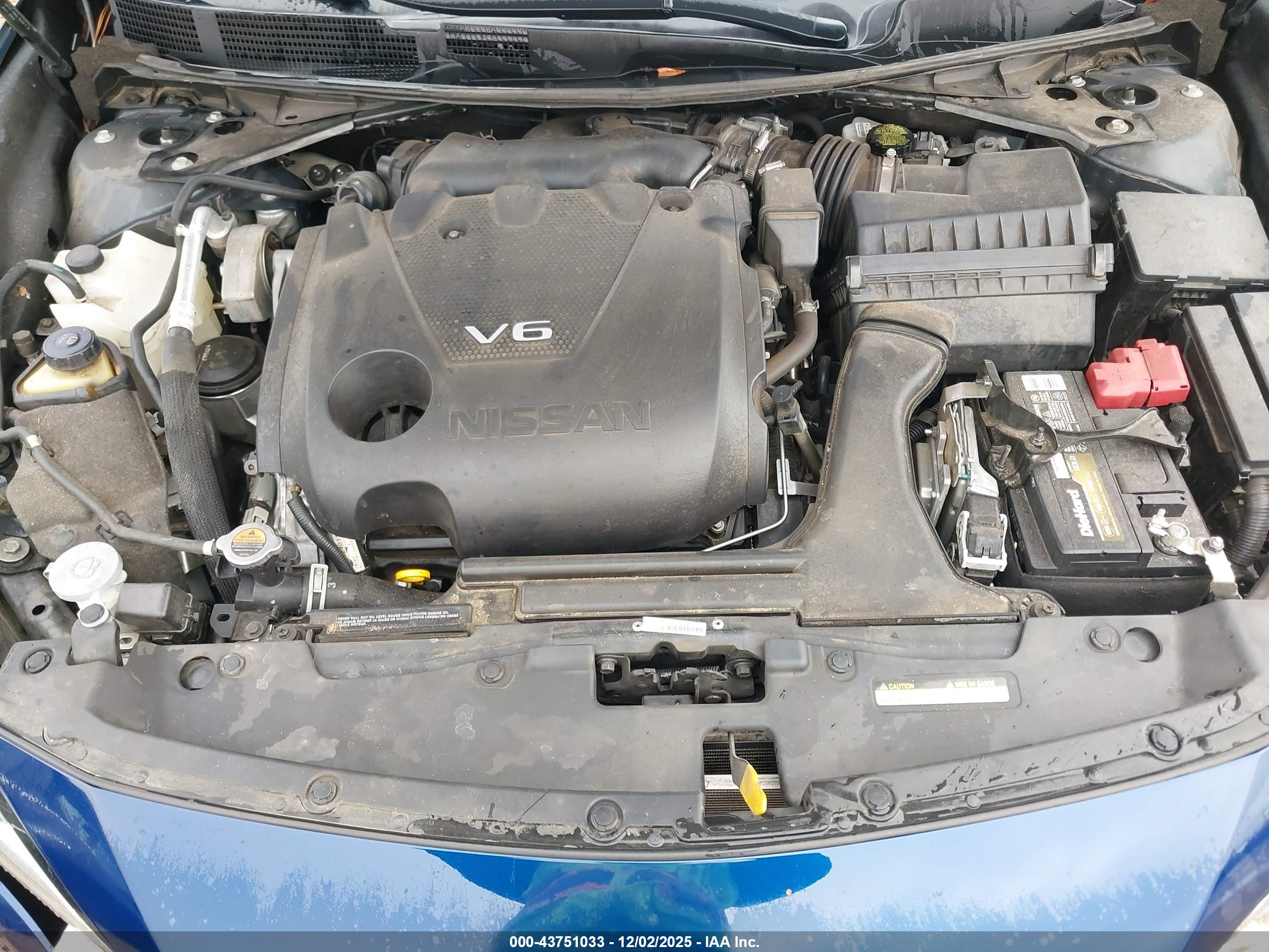 NISSAN MAXIMA image 10