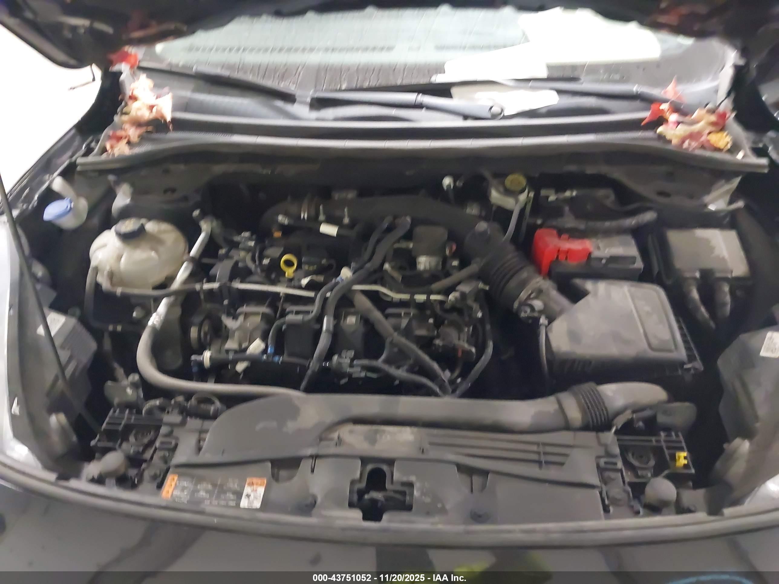 FORD ESCAPE image 10