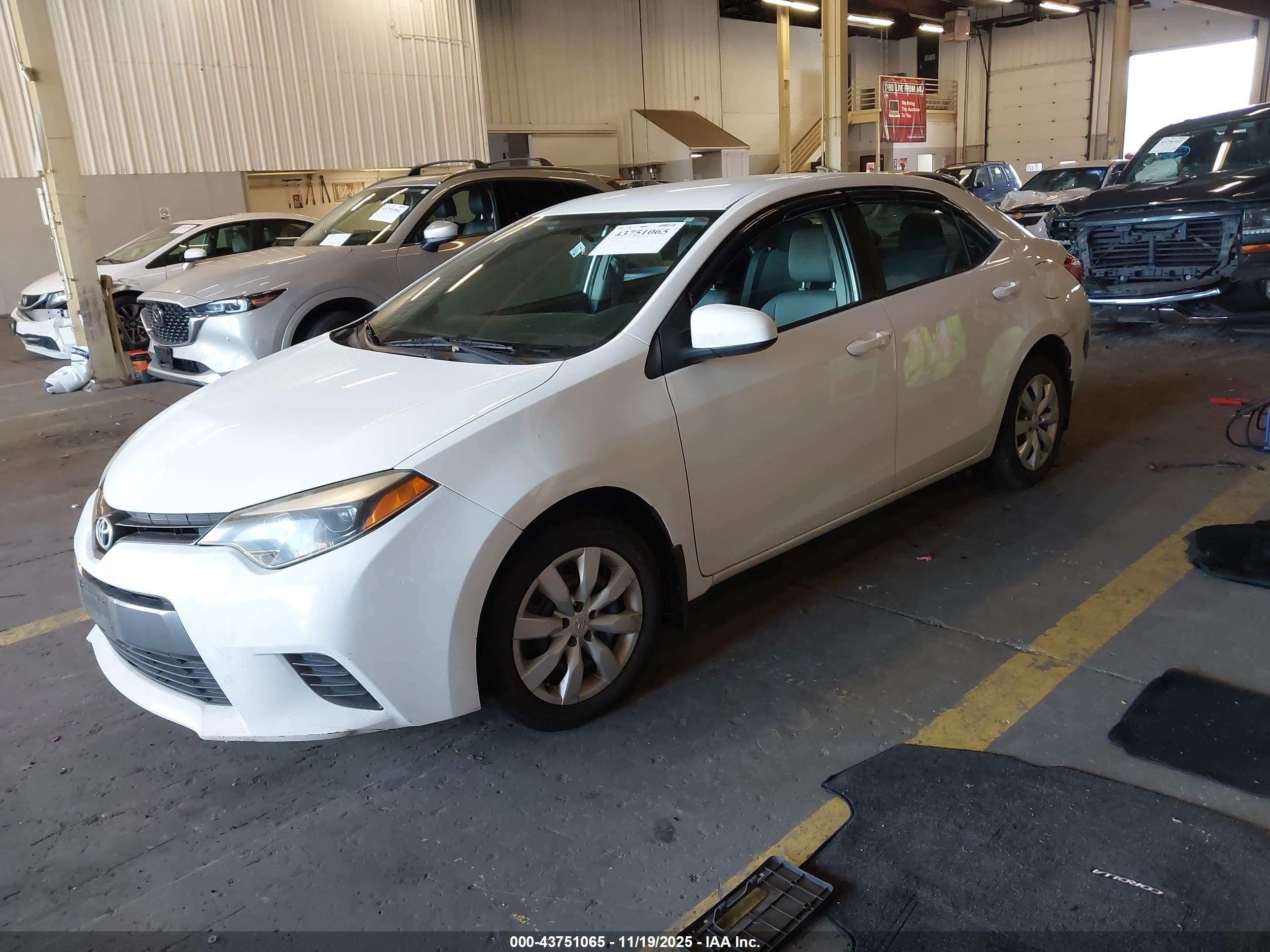 TOYOTA COROLLA image 2