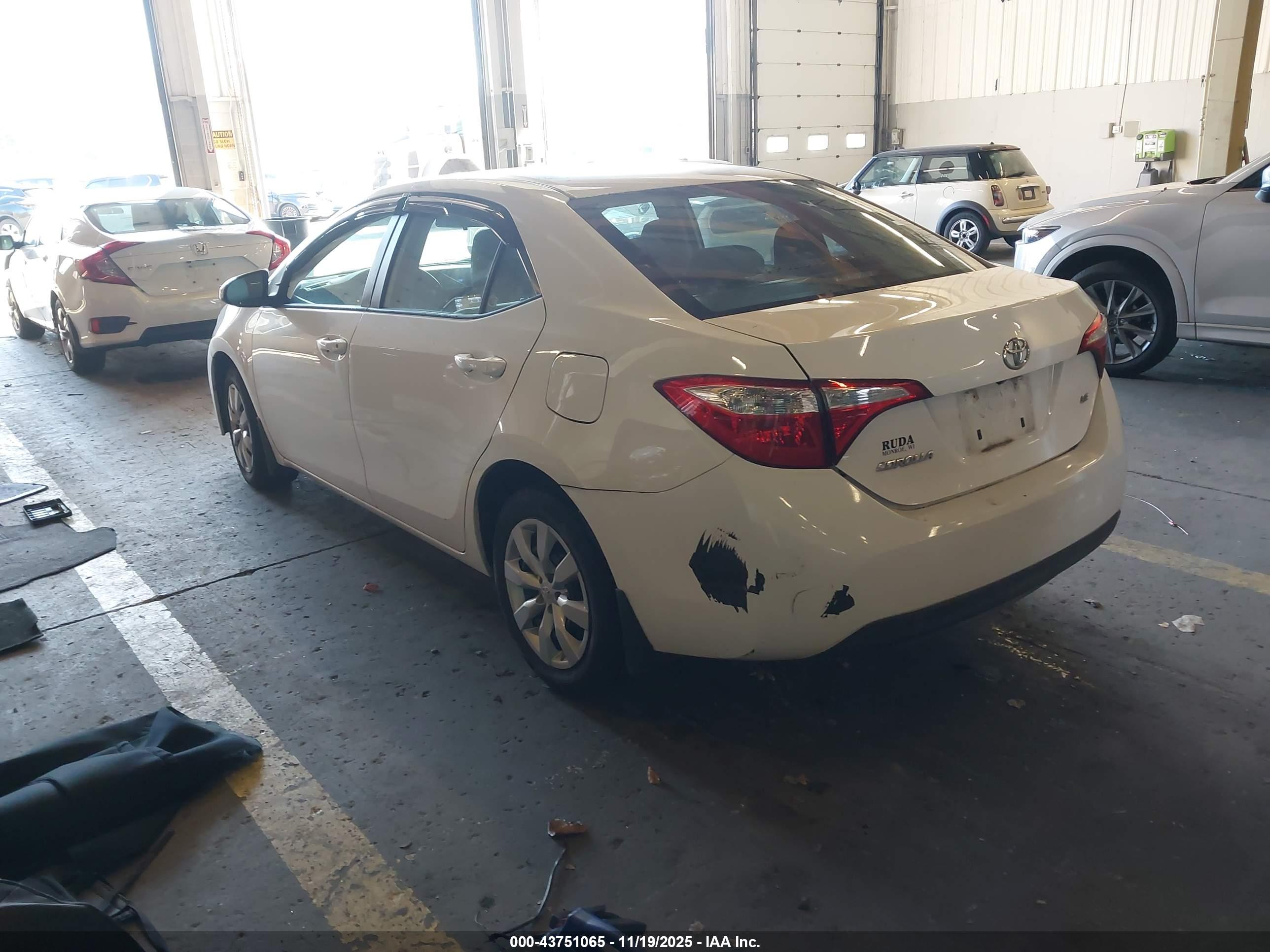TOYOTA COROLLA image 3