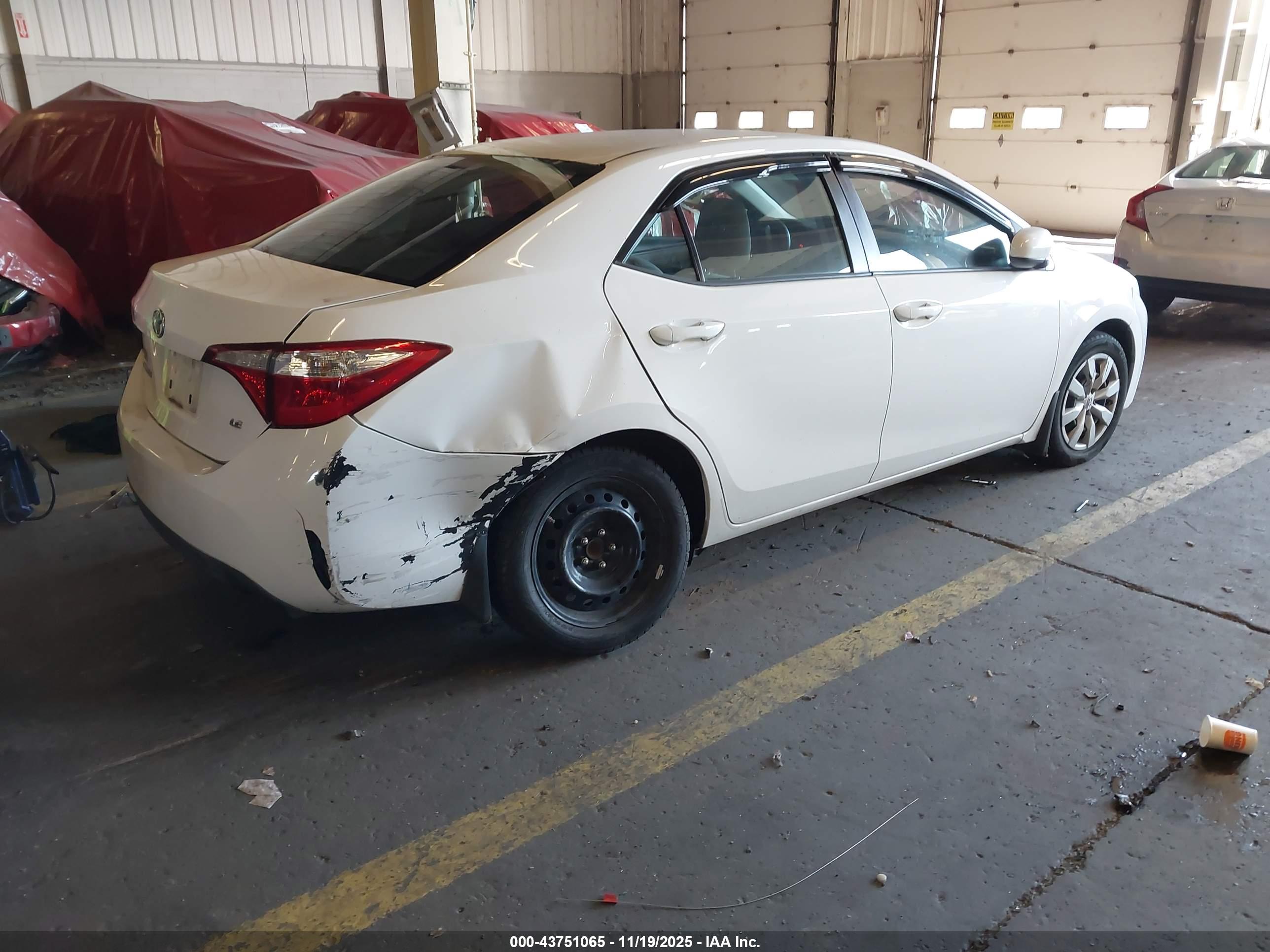 TOYOTA COROLLA image 4
