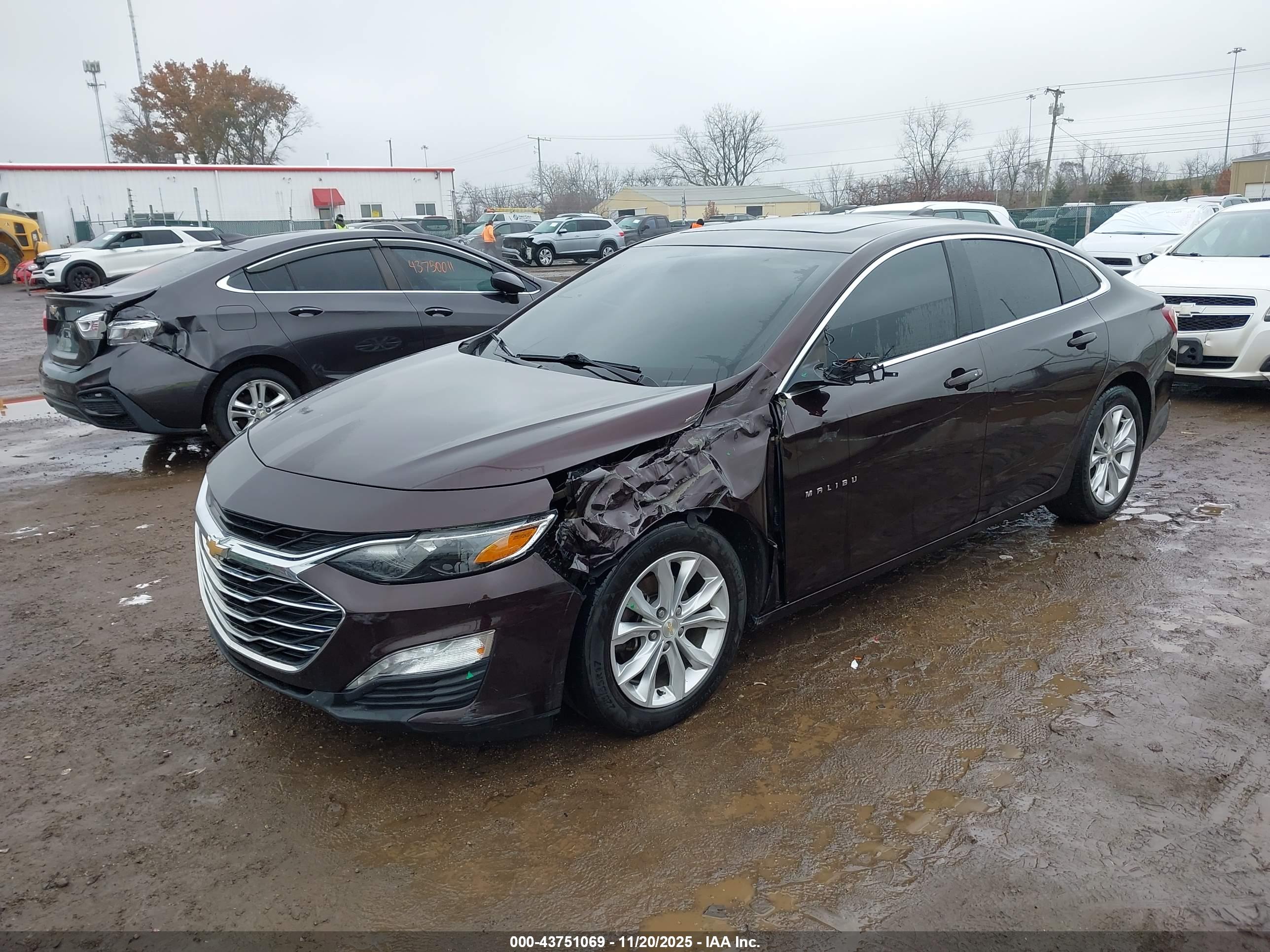 CHEVROLET MALIBU image 2