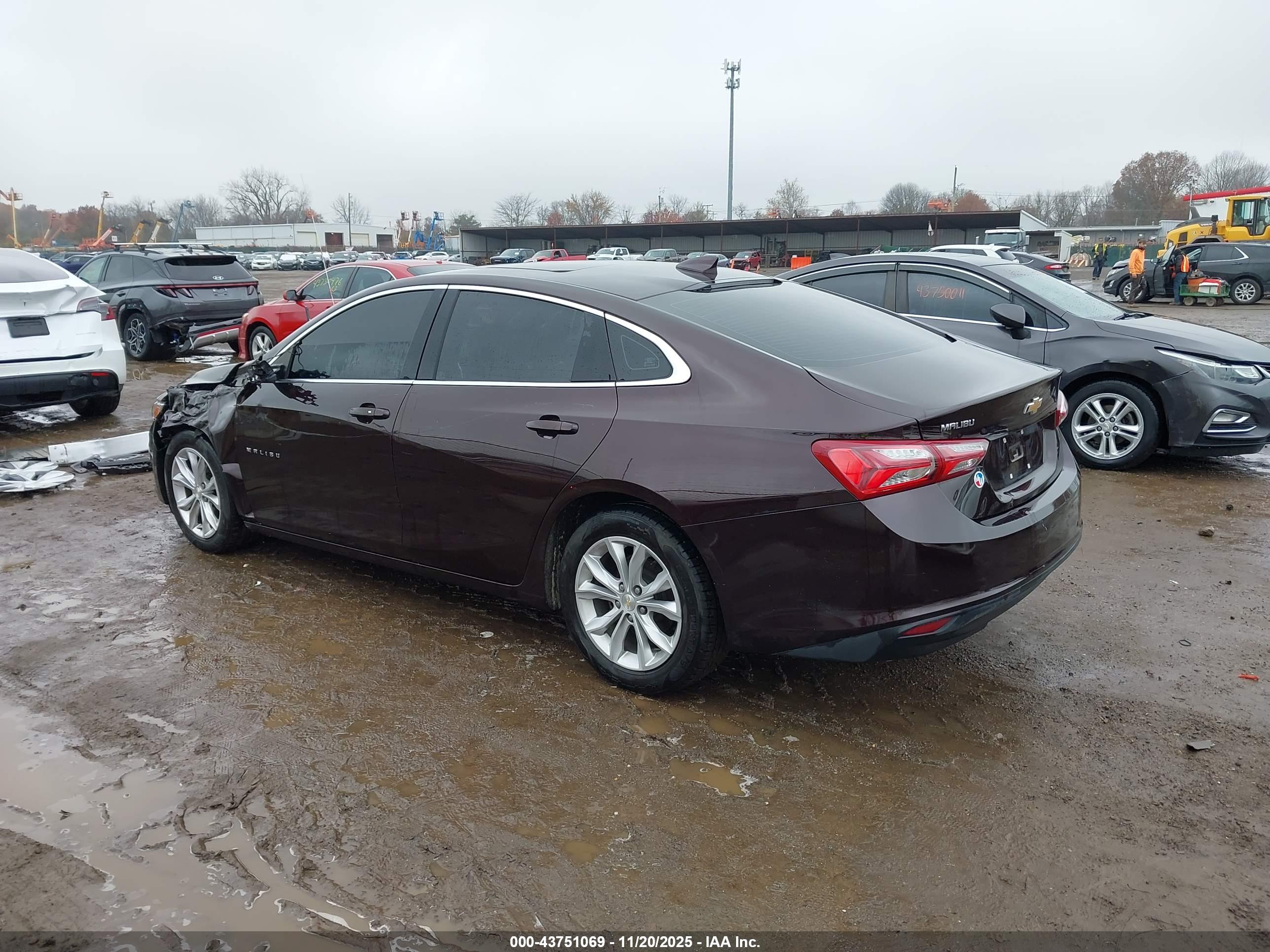 CHEVROLET MALIBU image 3