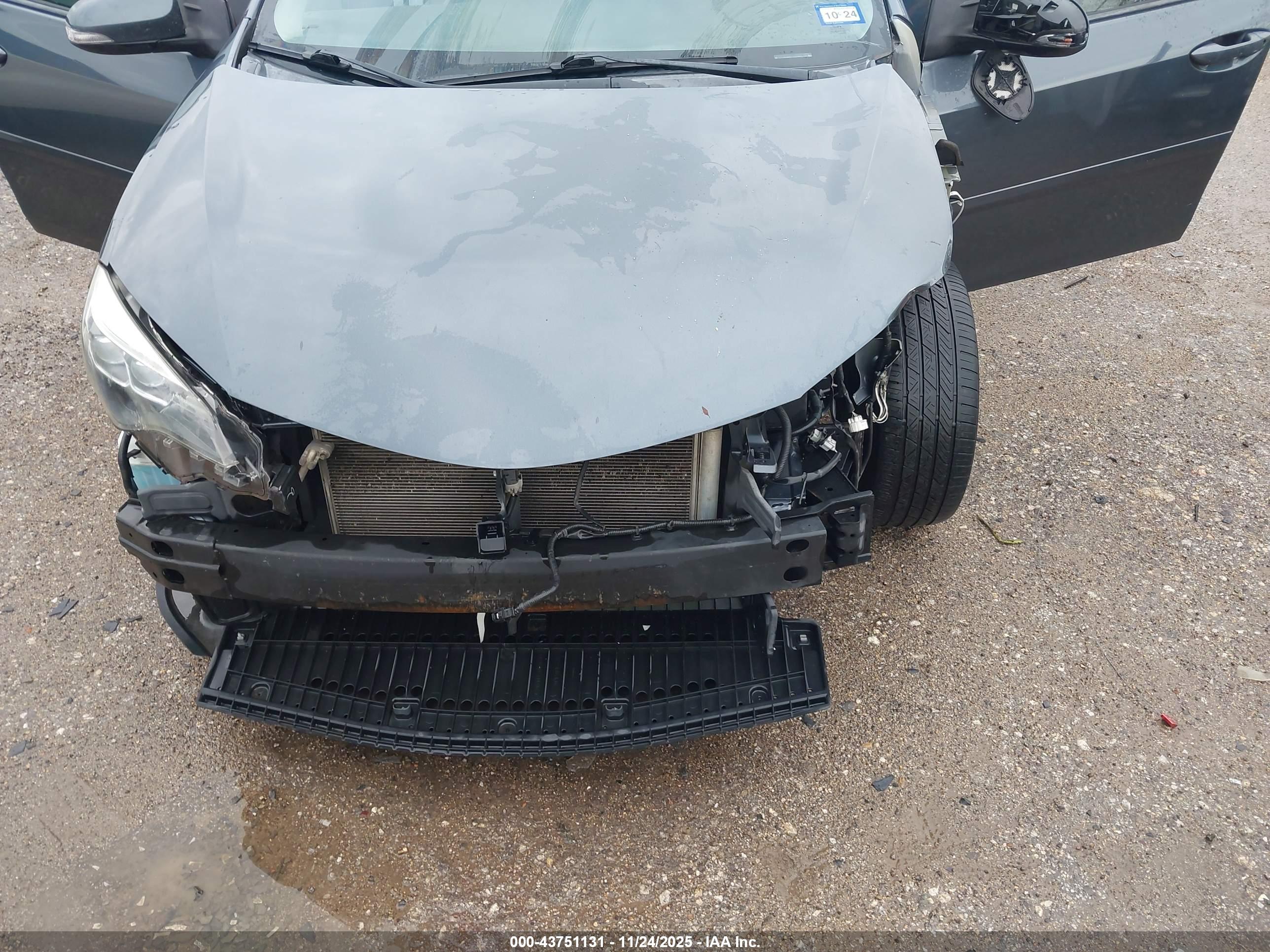 TOYOTA COROLLA image 6