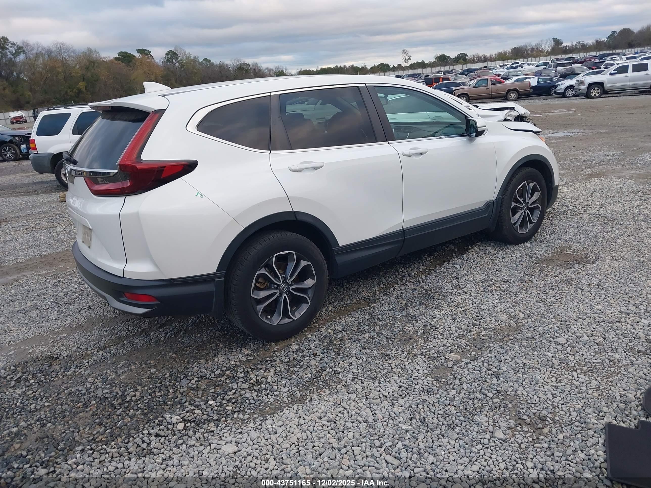 HONDA CR-V image 4