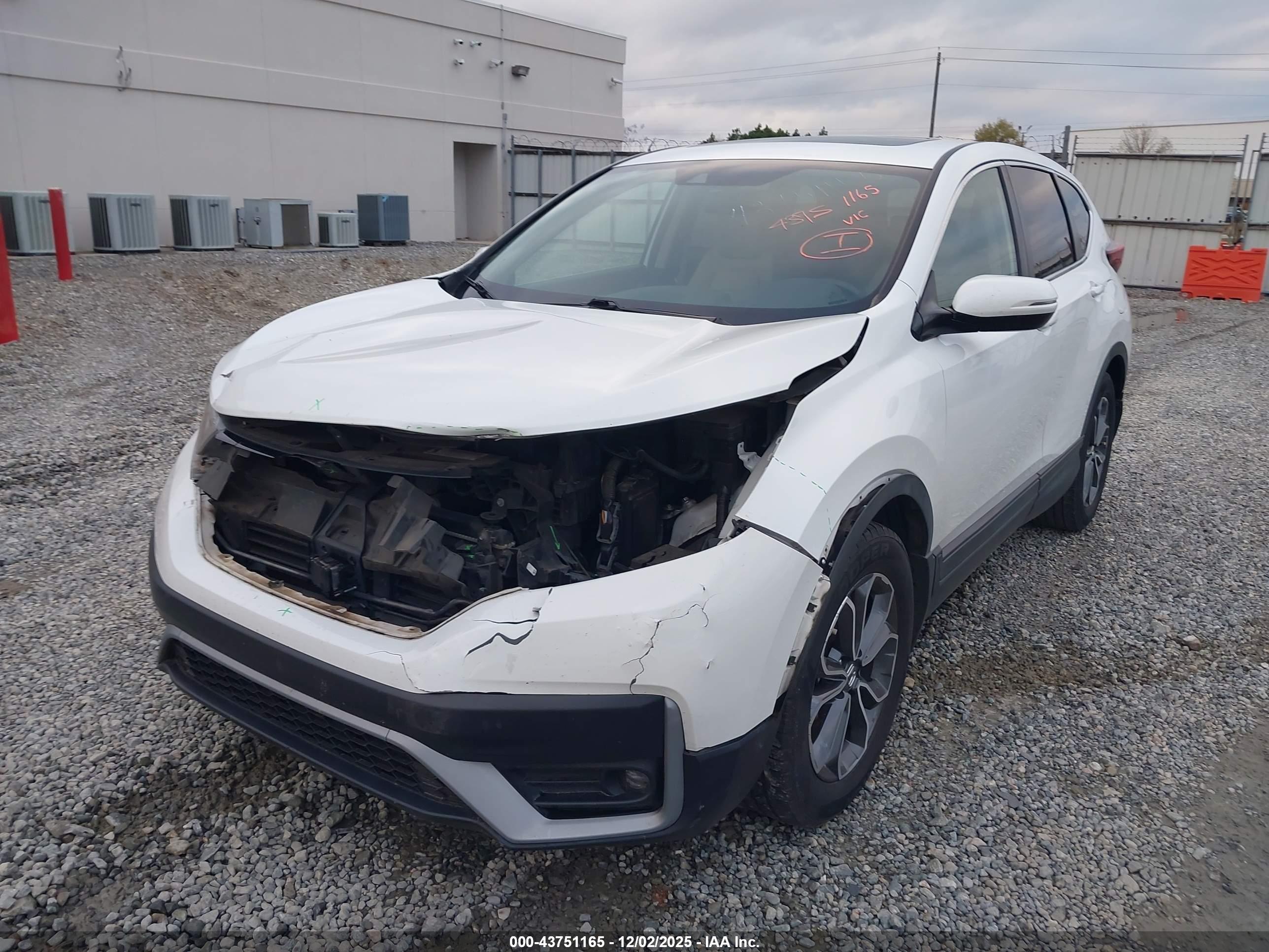 HONDA CR-V image 6