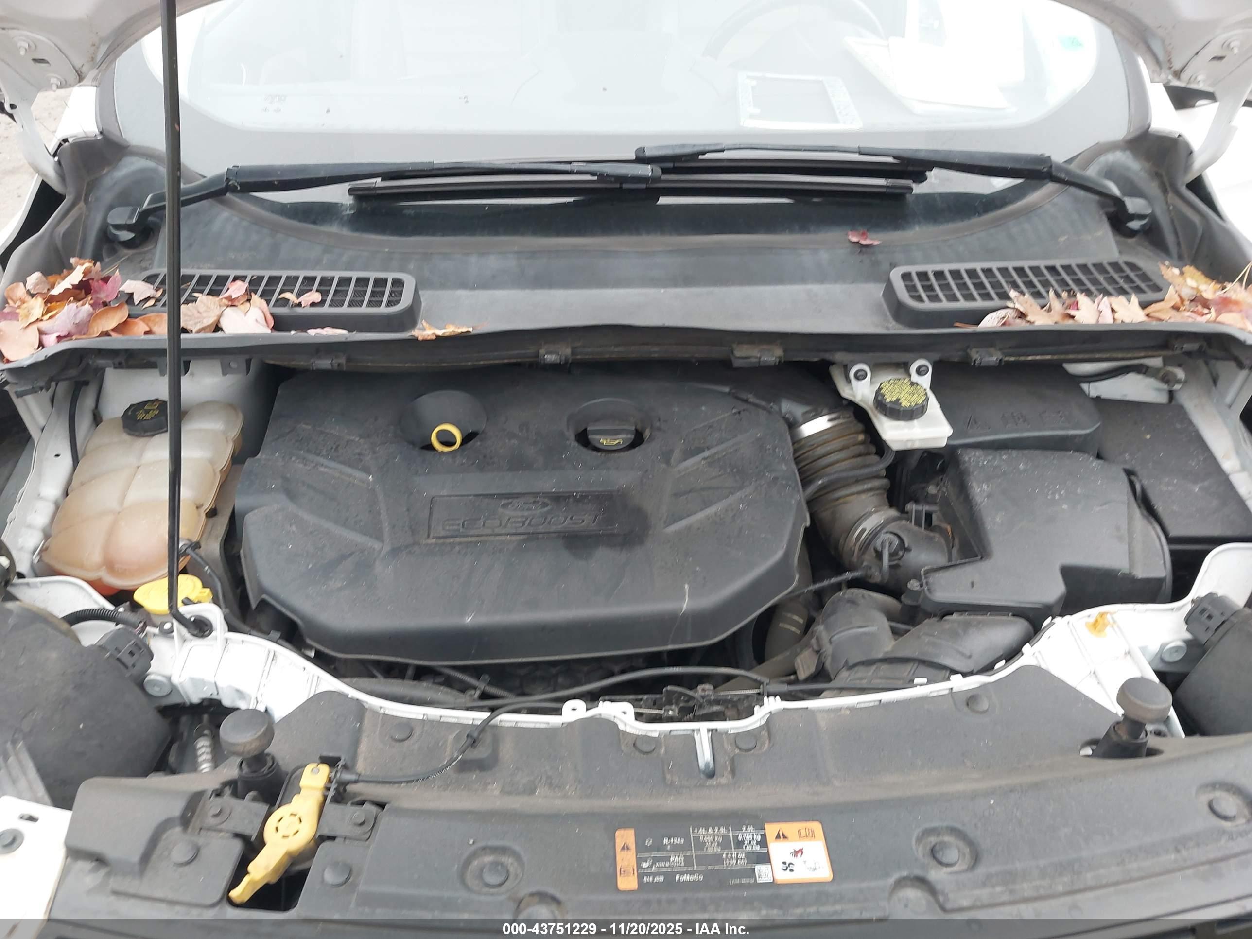 FORD ESCAPE image 10