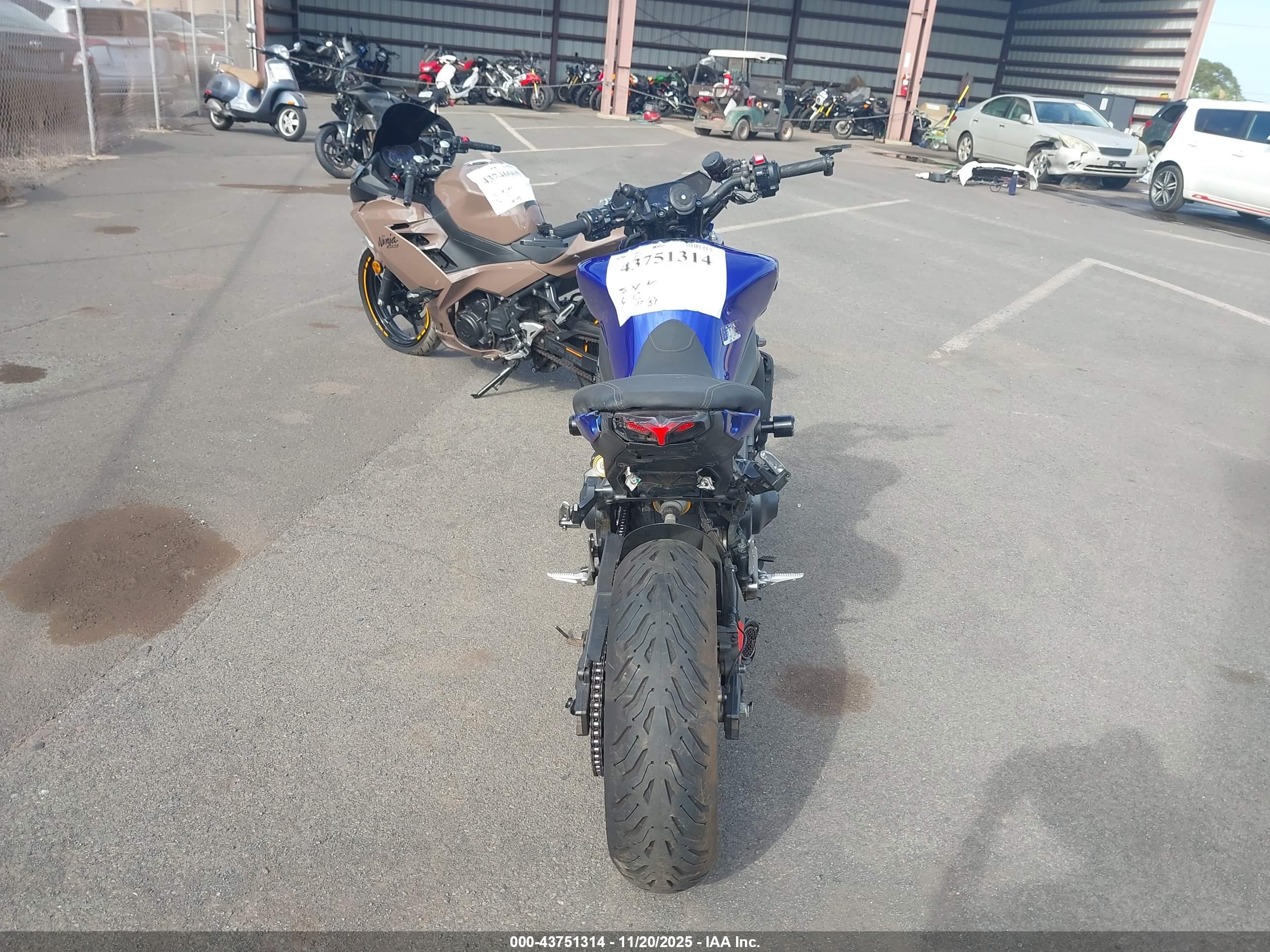 YAMAHA MT09 image 6
