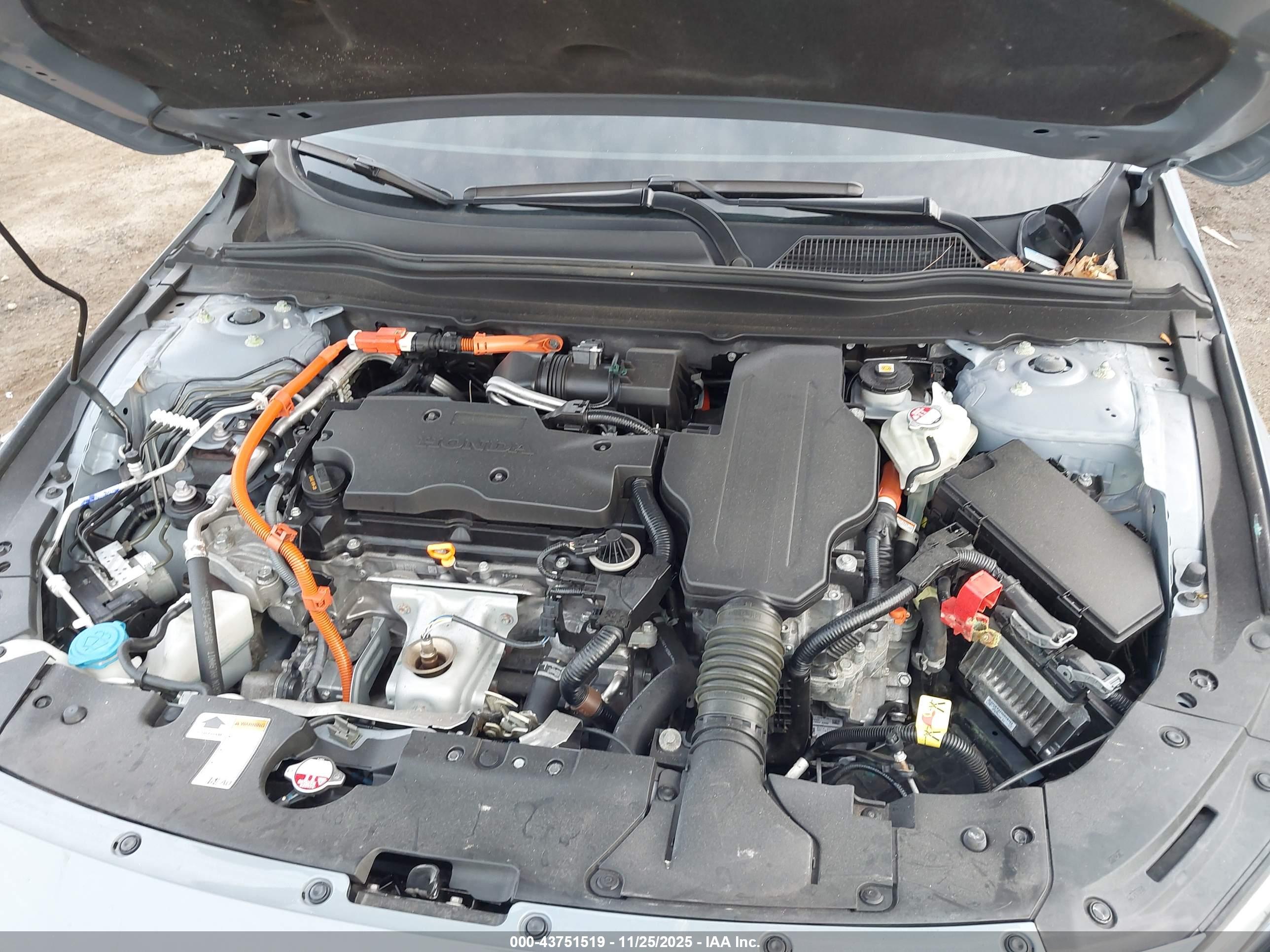 HONDA ACCORD image 10