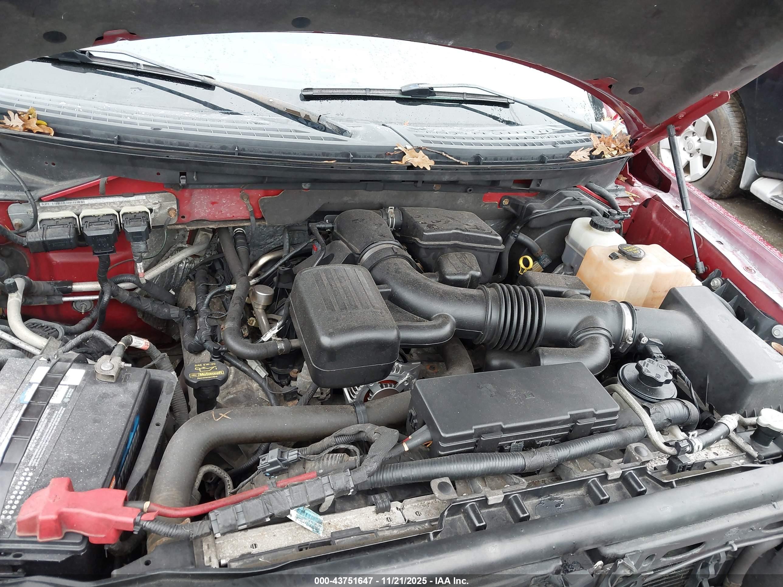 FORD F-150 image 10