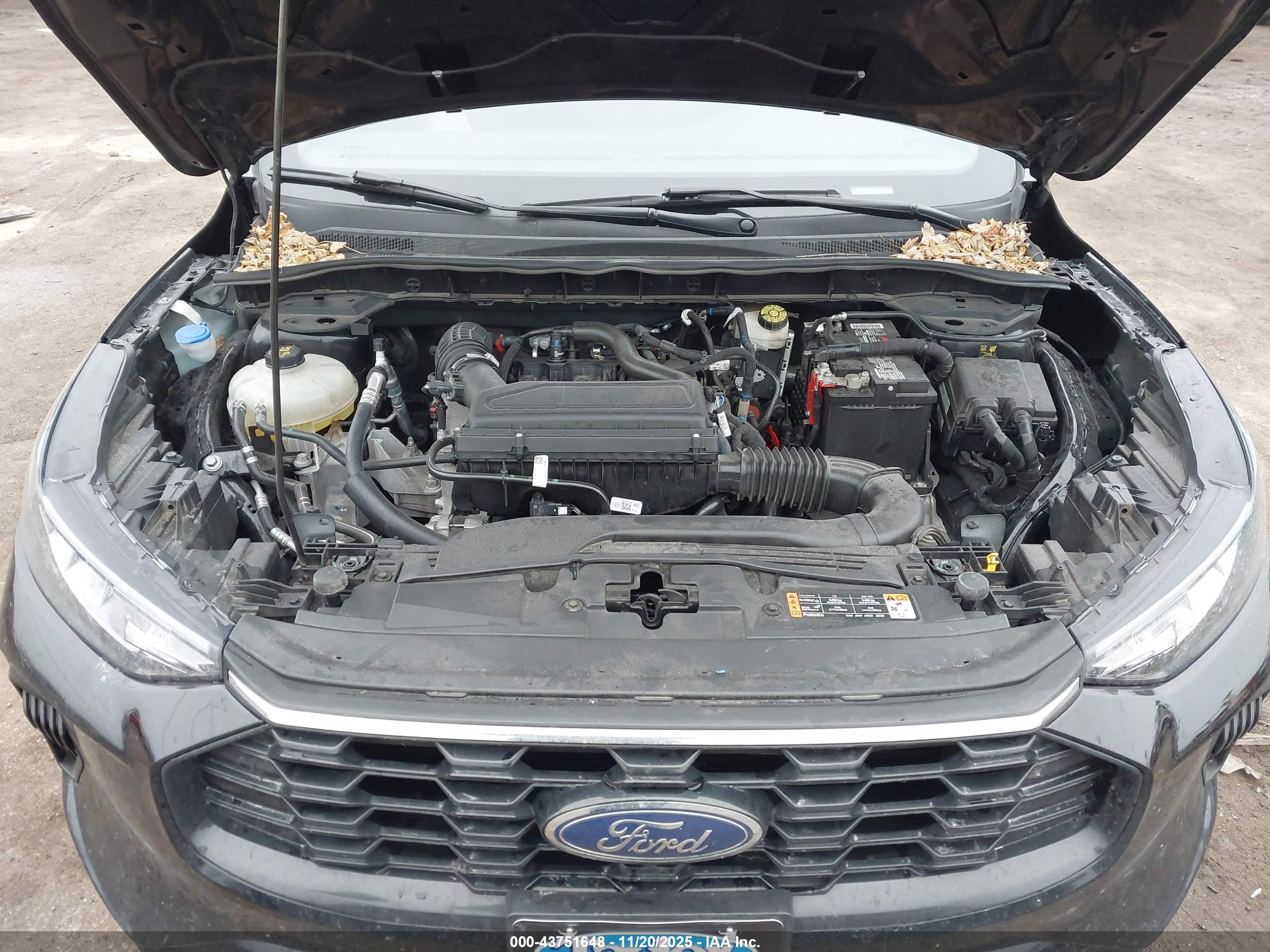 FORD ESCAPE image 10