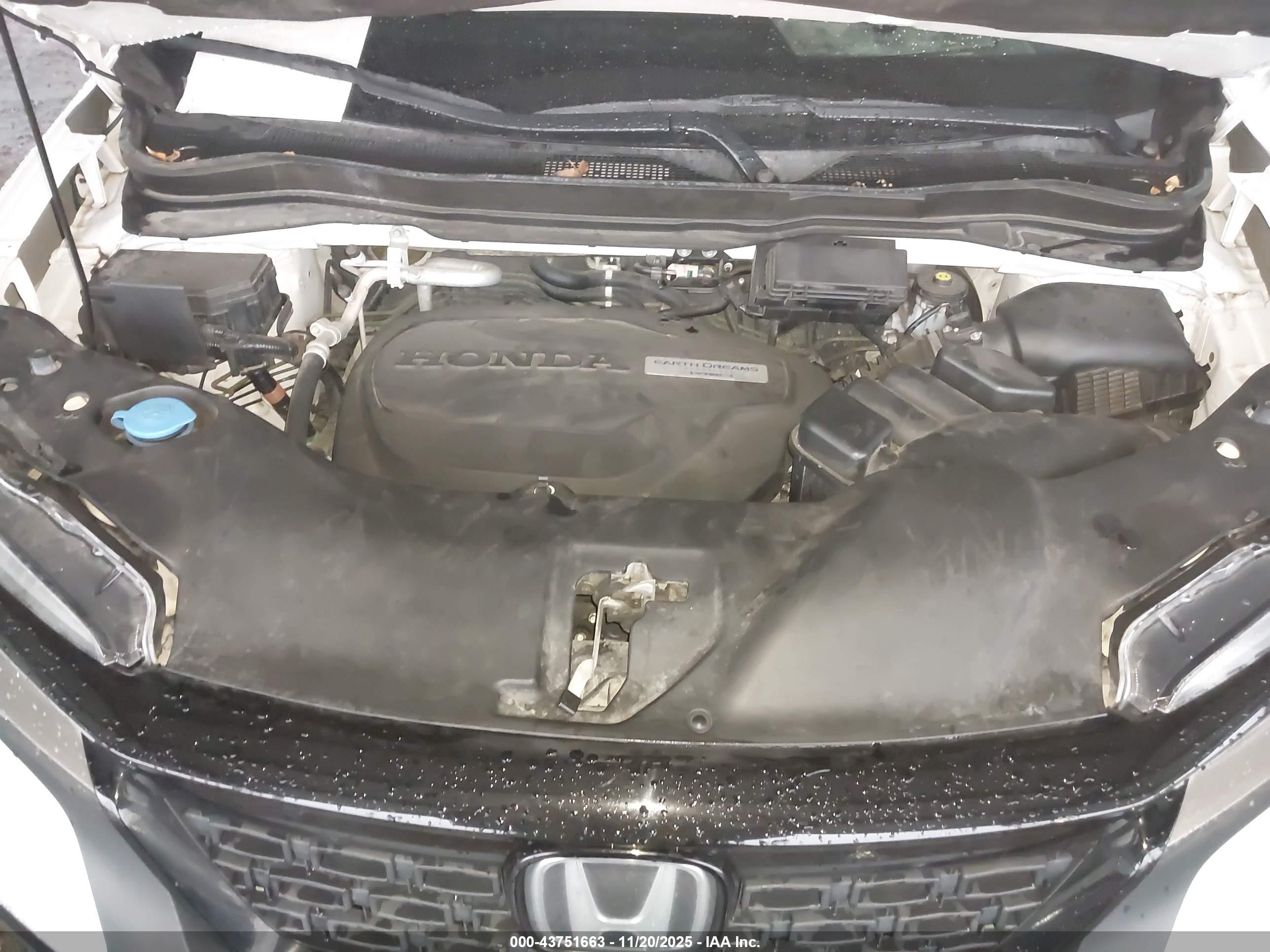 HONDA PASSPORT image 10
