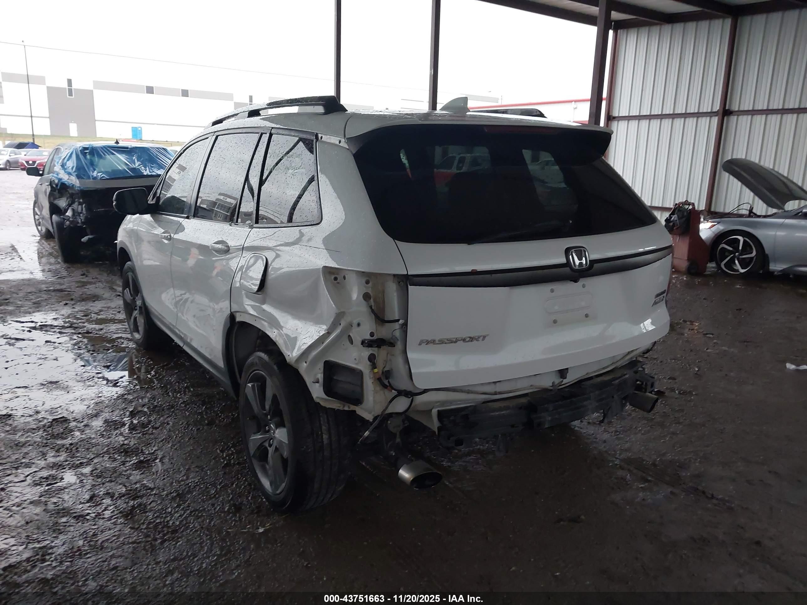 HONDA PASSPORT image 3