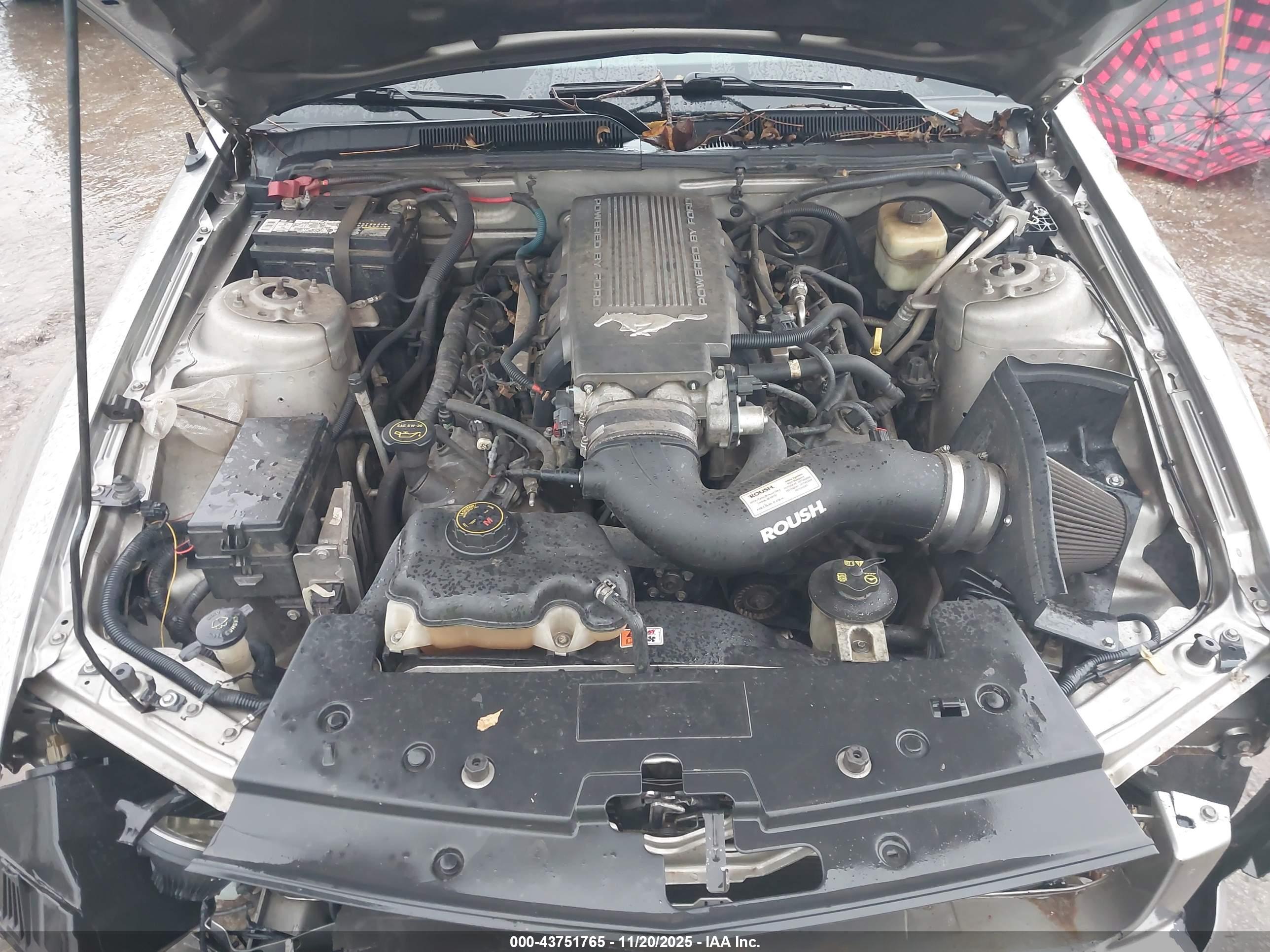 FORD MUSTANG image 10
