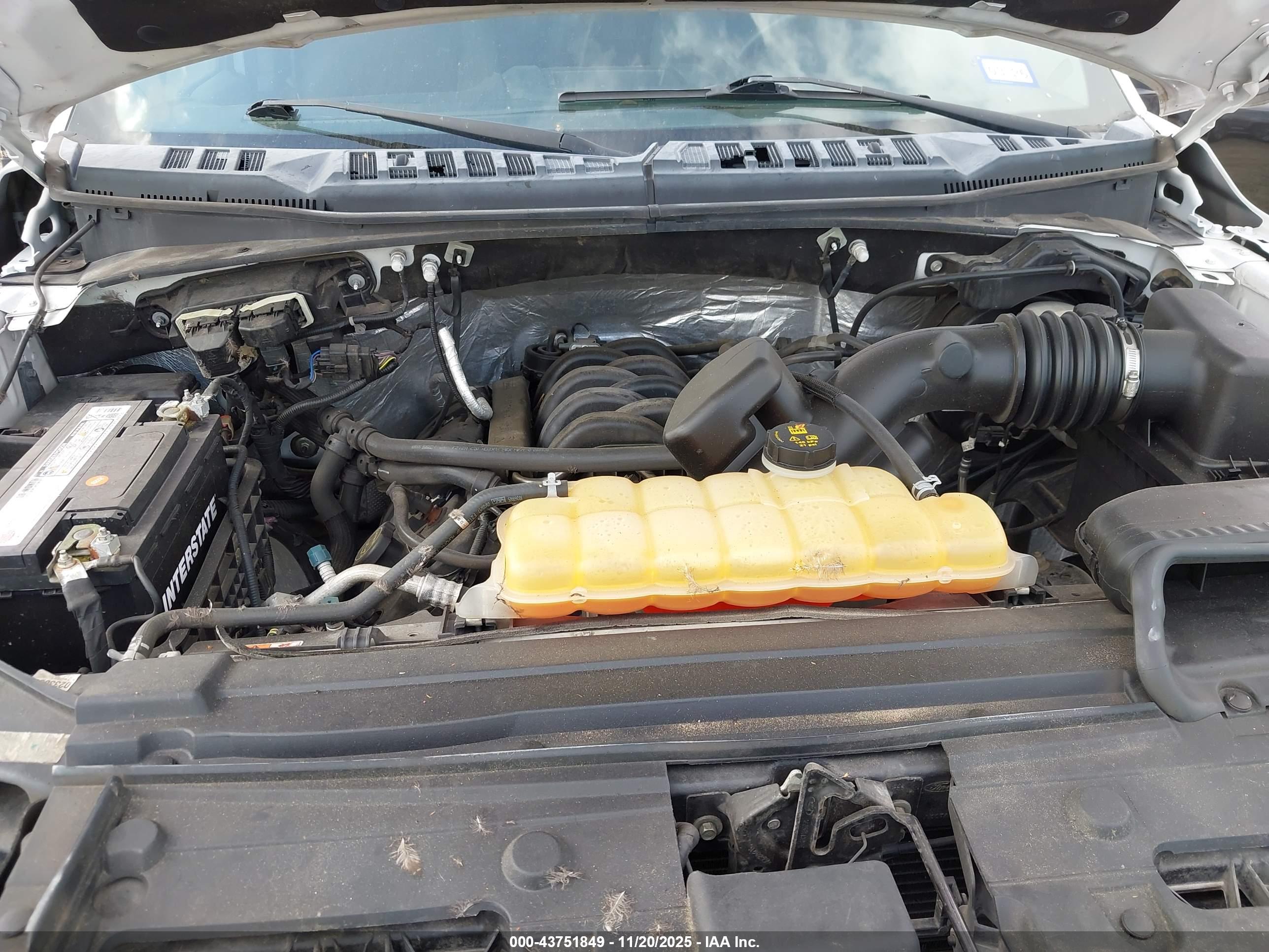 FORD F-150 image 10