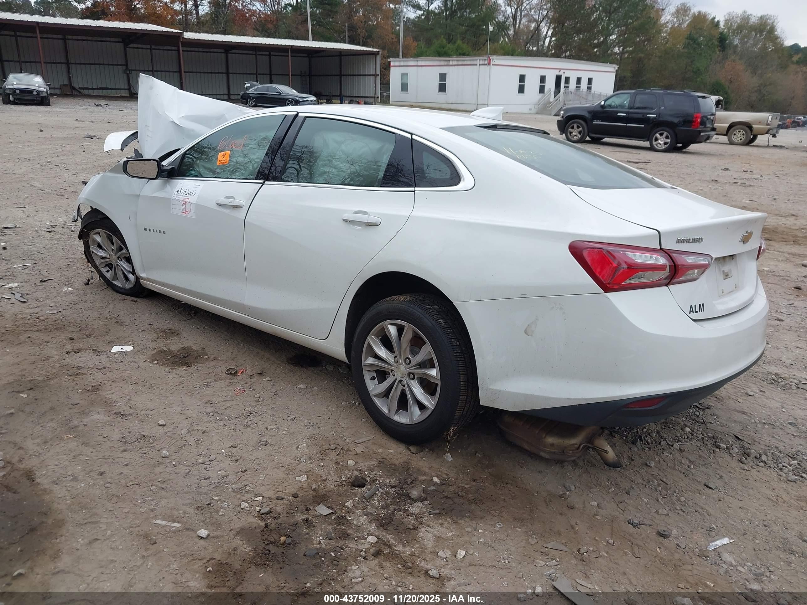 CHEVROLET MALIBU image 3