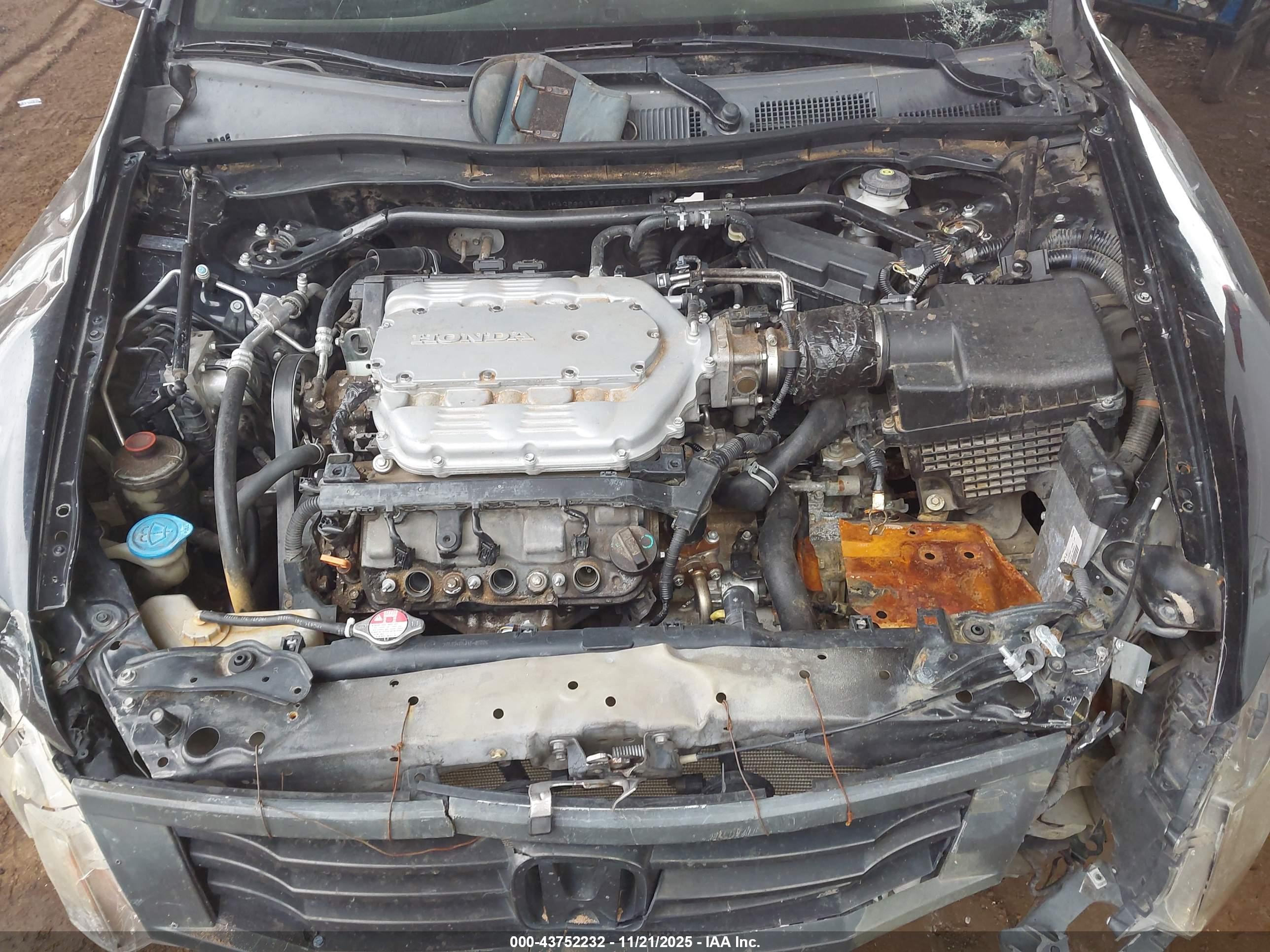 HONDA ACCORD image 10