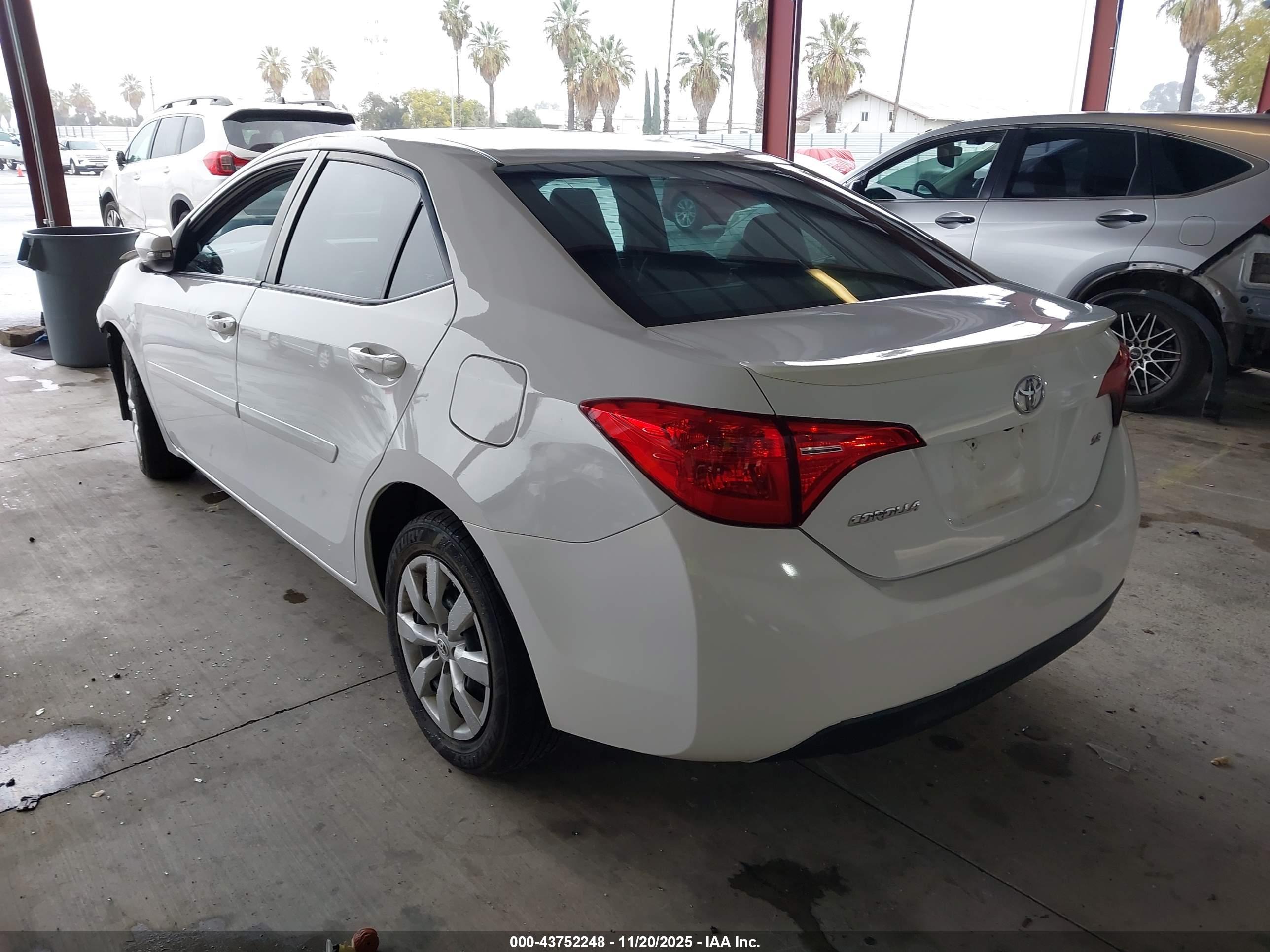 TOYOTA COROLLA image 3