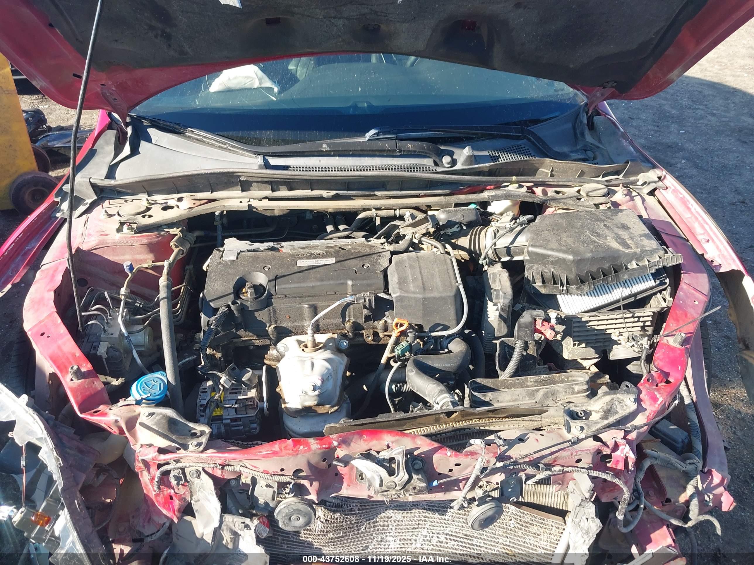 HONDA ACCORD image 10