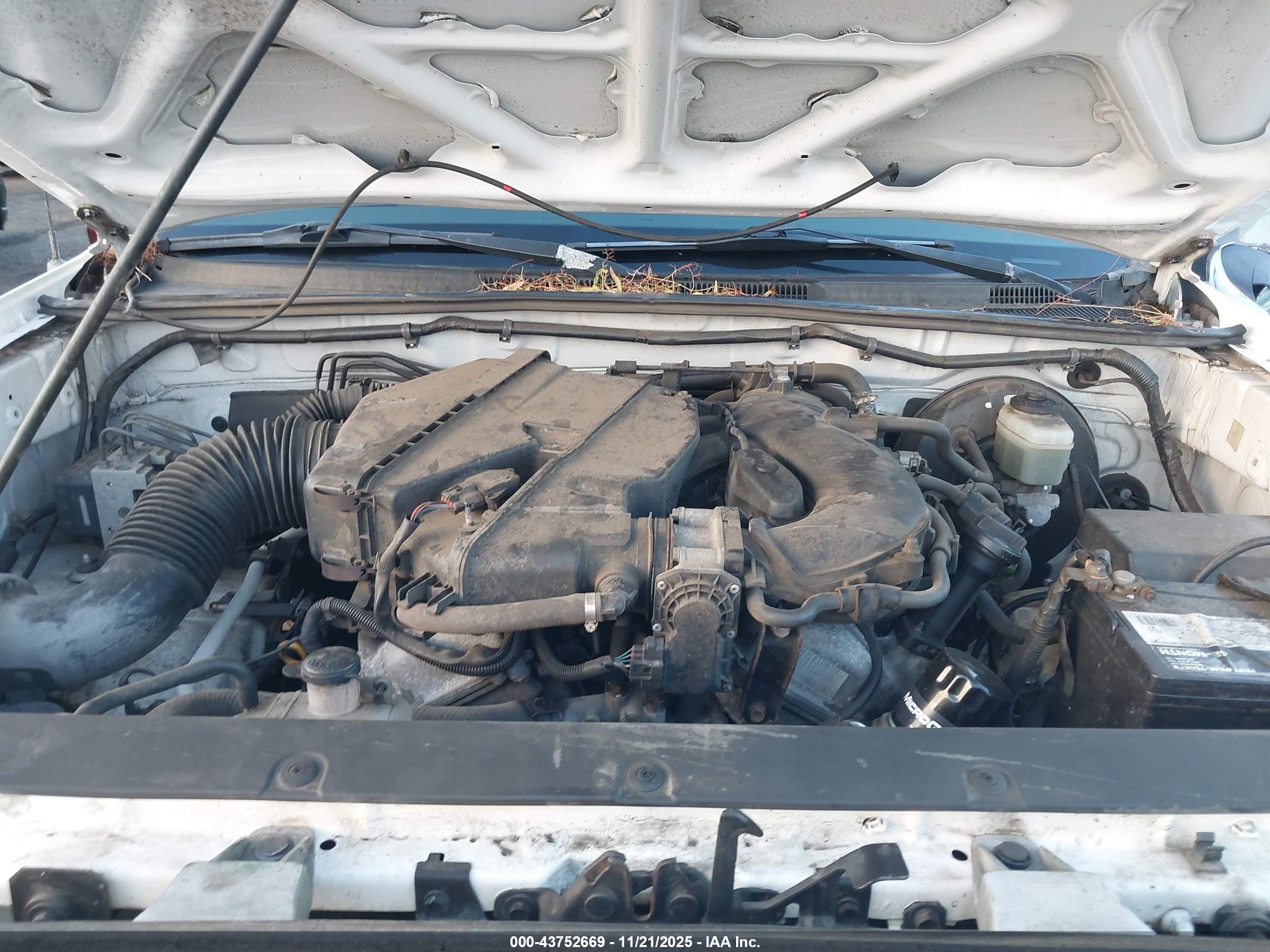 TOYOTA TACOMA image 10