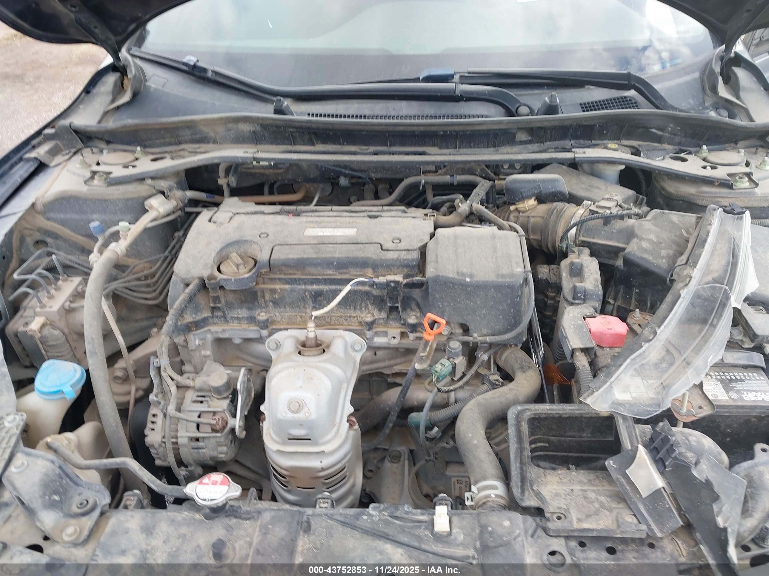 HONDA ACCORD image 10