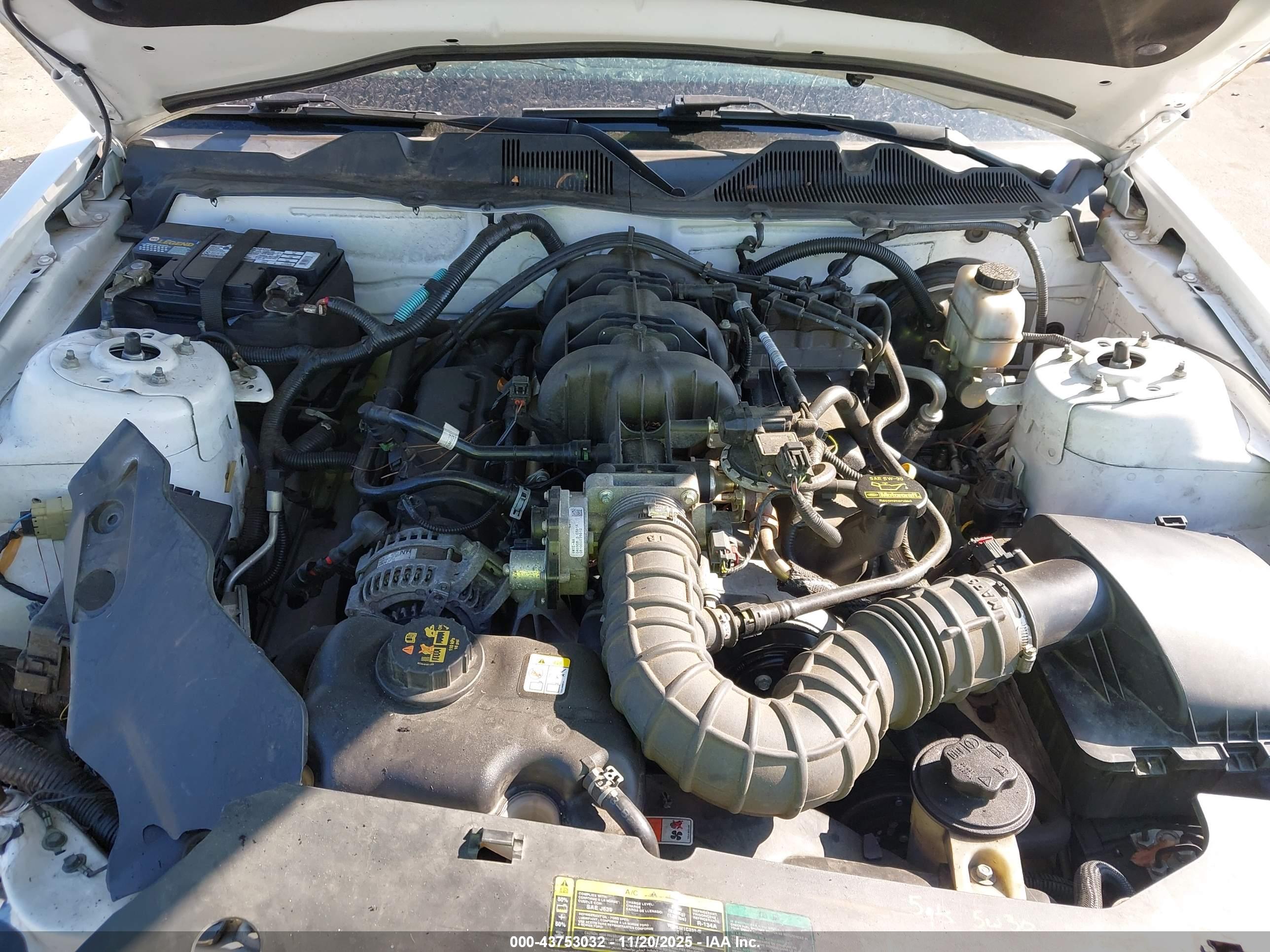 FORD MUSTANG image 10
