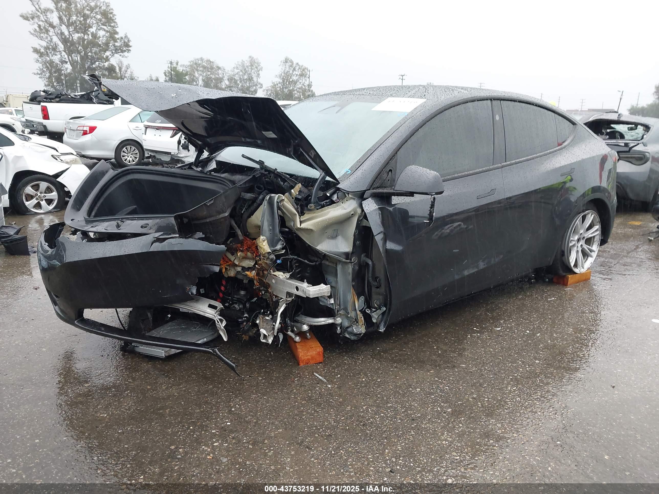 TESLA MODEL image 2
