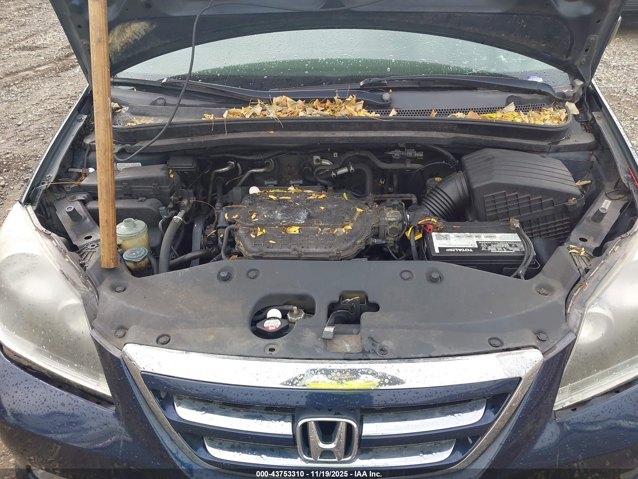 HONDA ODYSSEY image 10