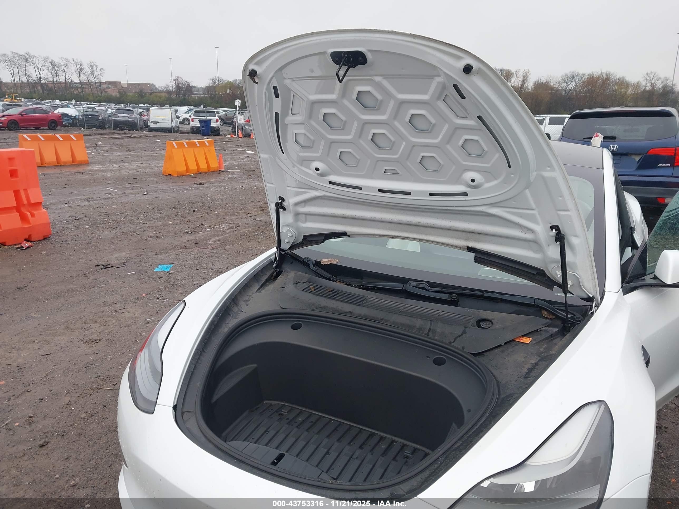 TESLA MODEL image 10