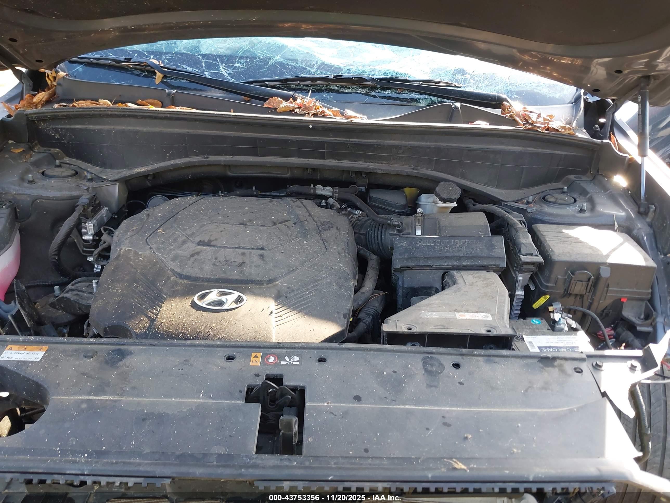 HYUNDAI PALISADE image 10